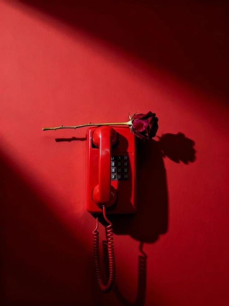 3 Call Package: Foundation Reset (60 min per call)