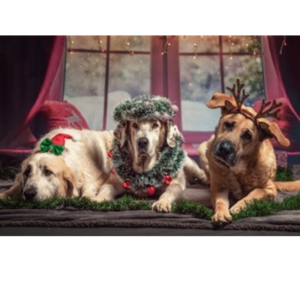 5 Year-End Tips for Greater Giving