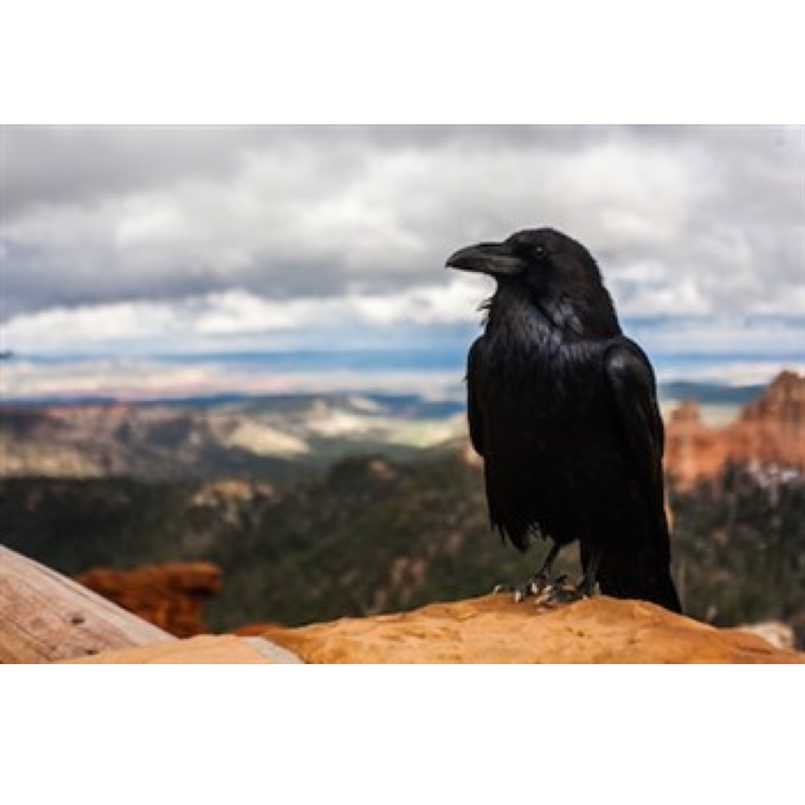 The Church Talks about Death! Part 1 - Advance Directives