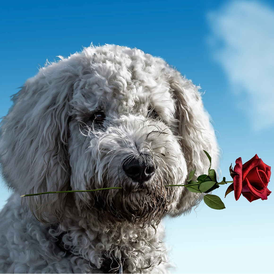 4 Ways to Love On Your People for Valentine’s Day