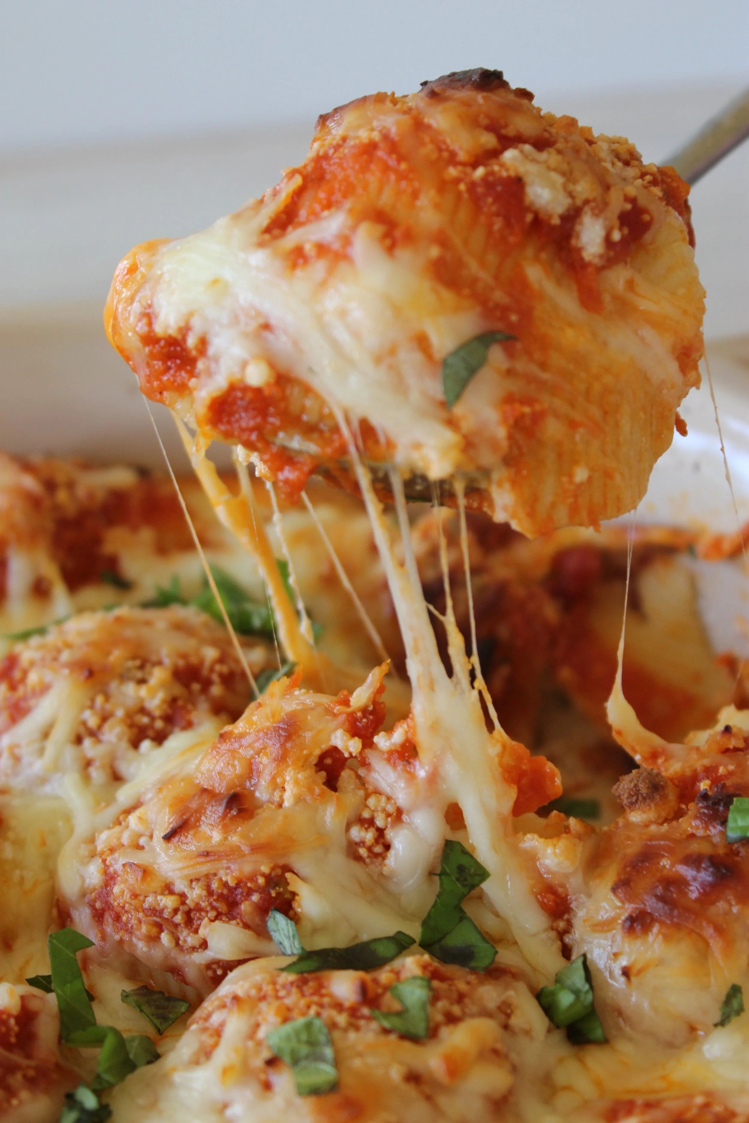 STUFFED SHELLS