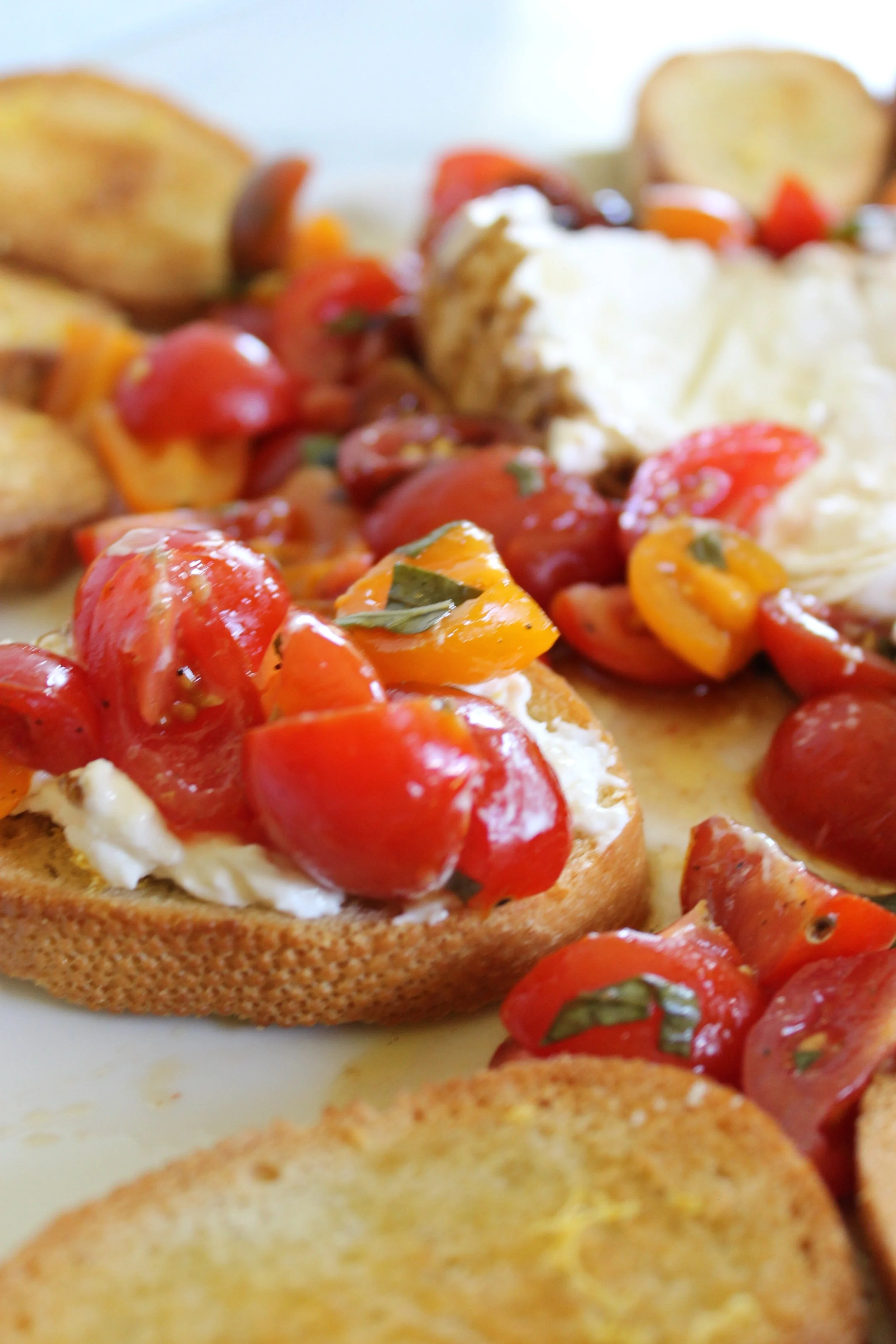 BRUSCHETTA &amp; BURRATA APPETIZER