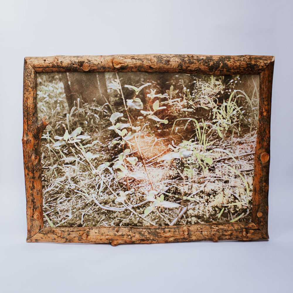 fairy woods 24"×36" large framed canvas print