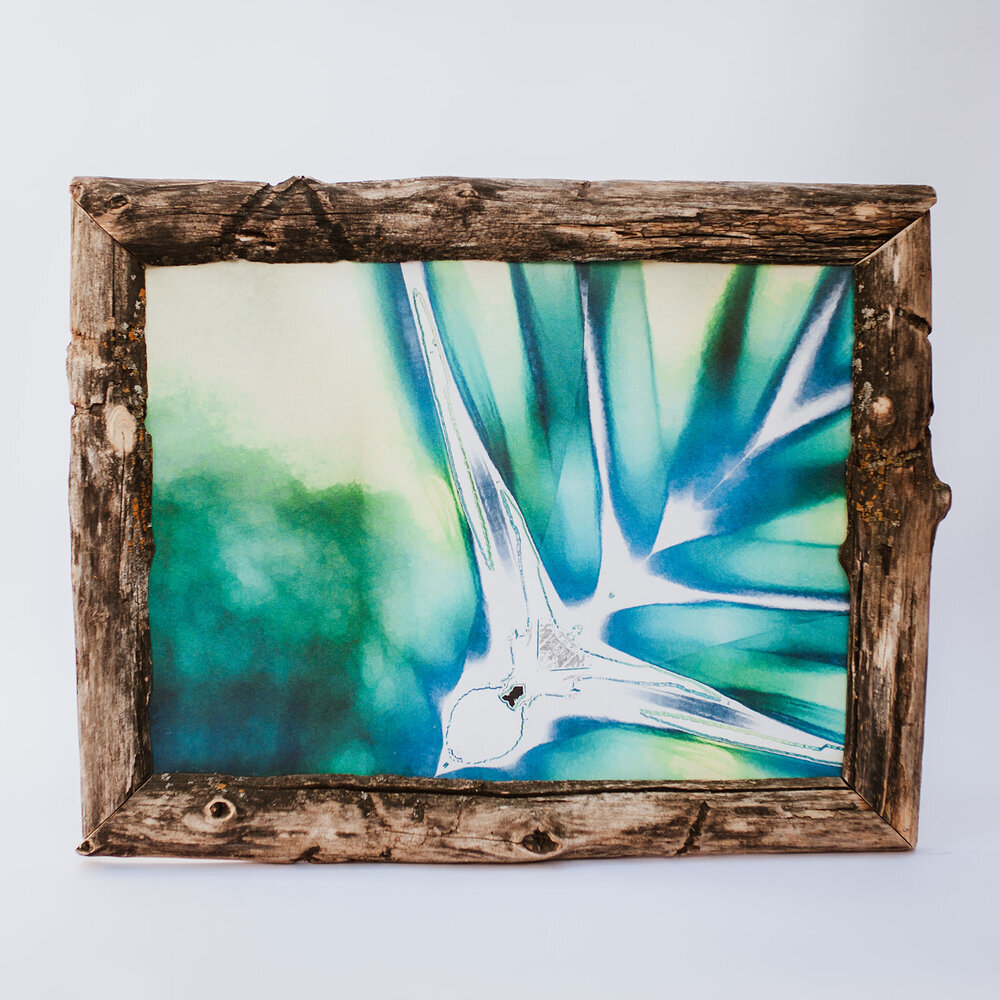flickerwisp, 18"×24" framed canvas print