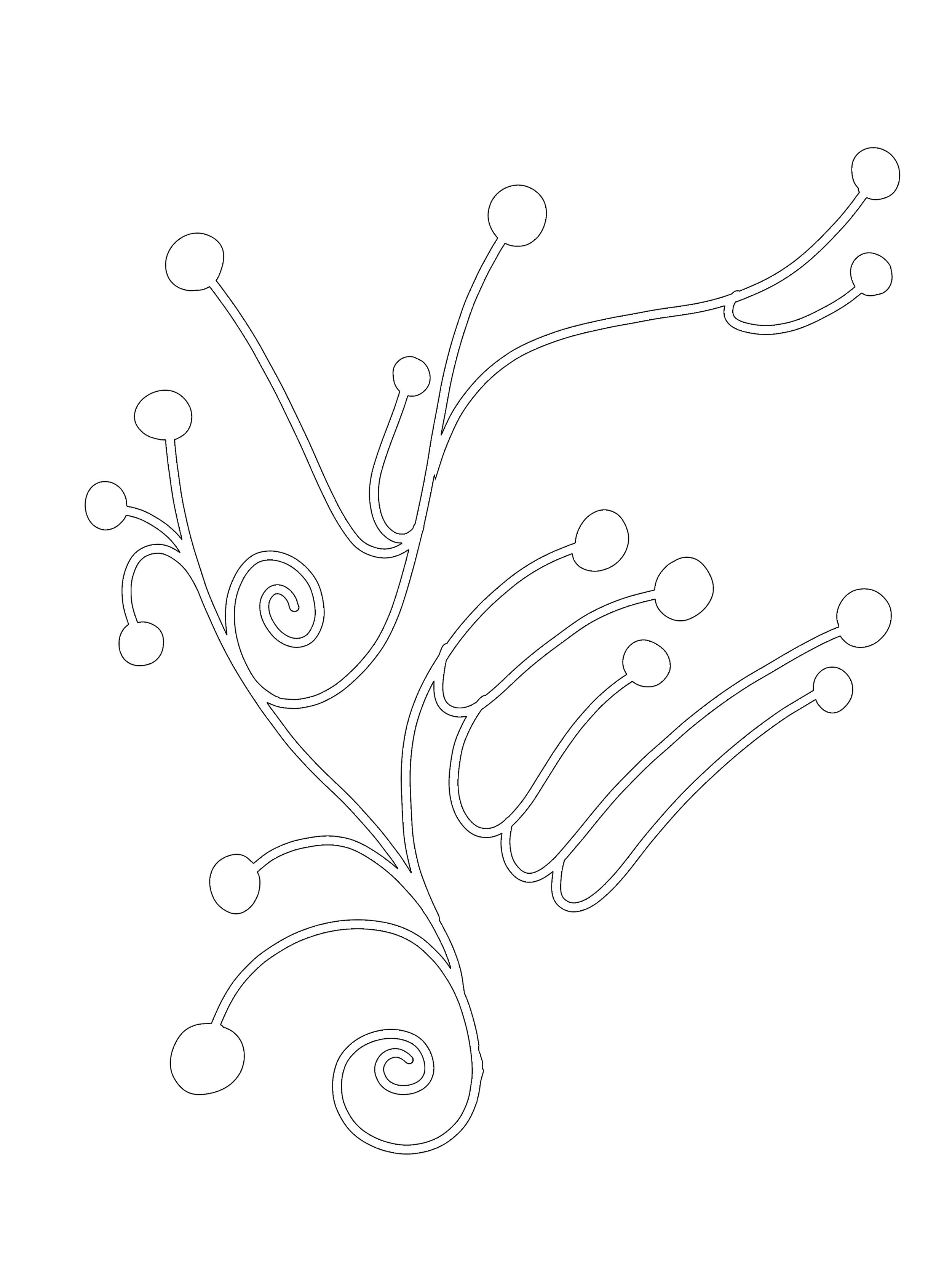IMG_8297.png