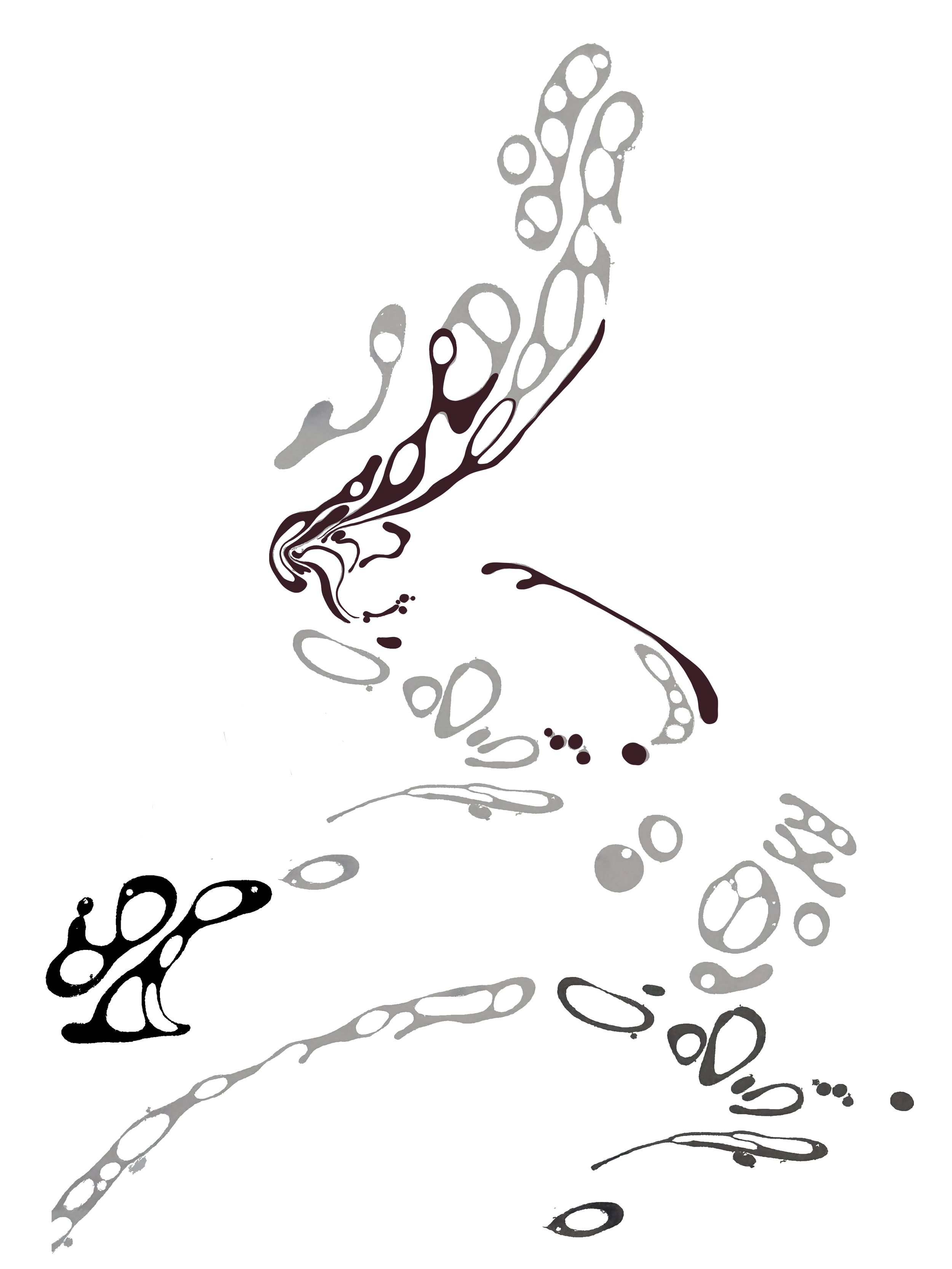 IMG_8903.PNG