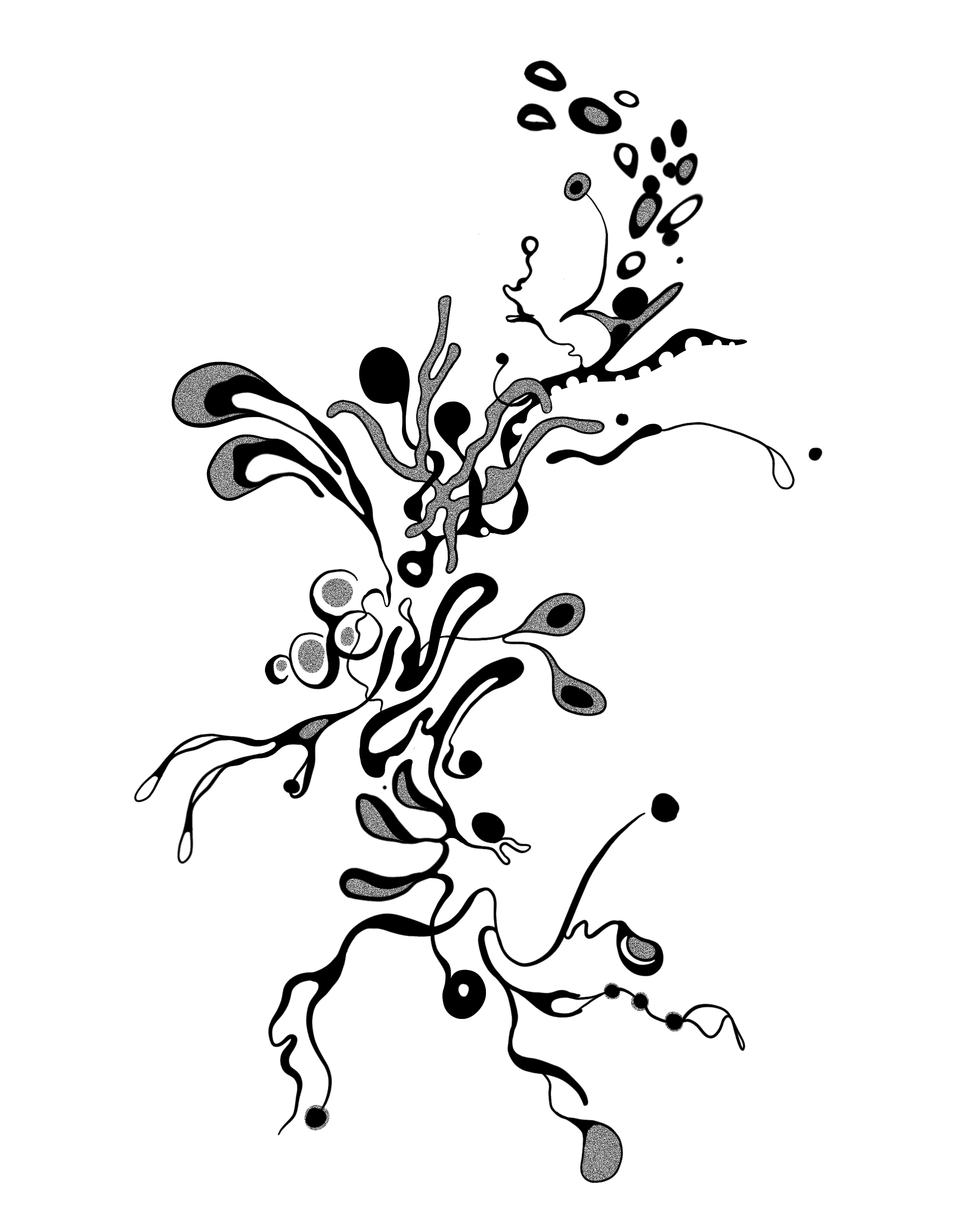 IMG_8902.PNG