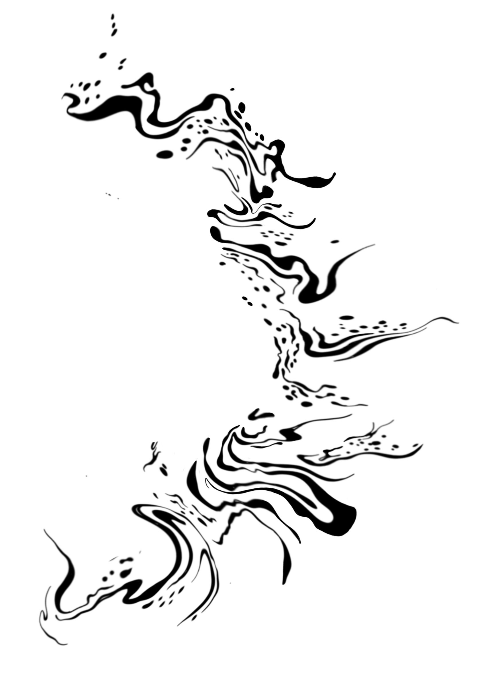 IMG_8893.PNG