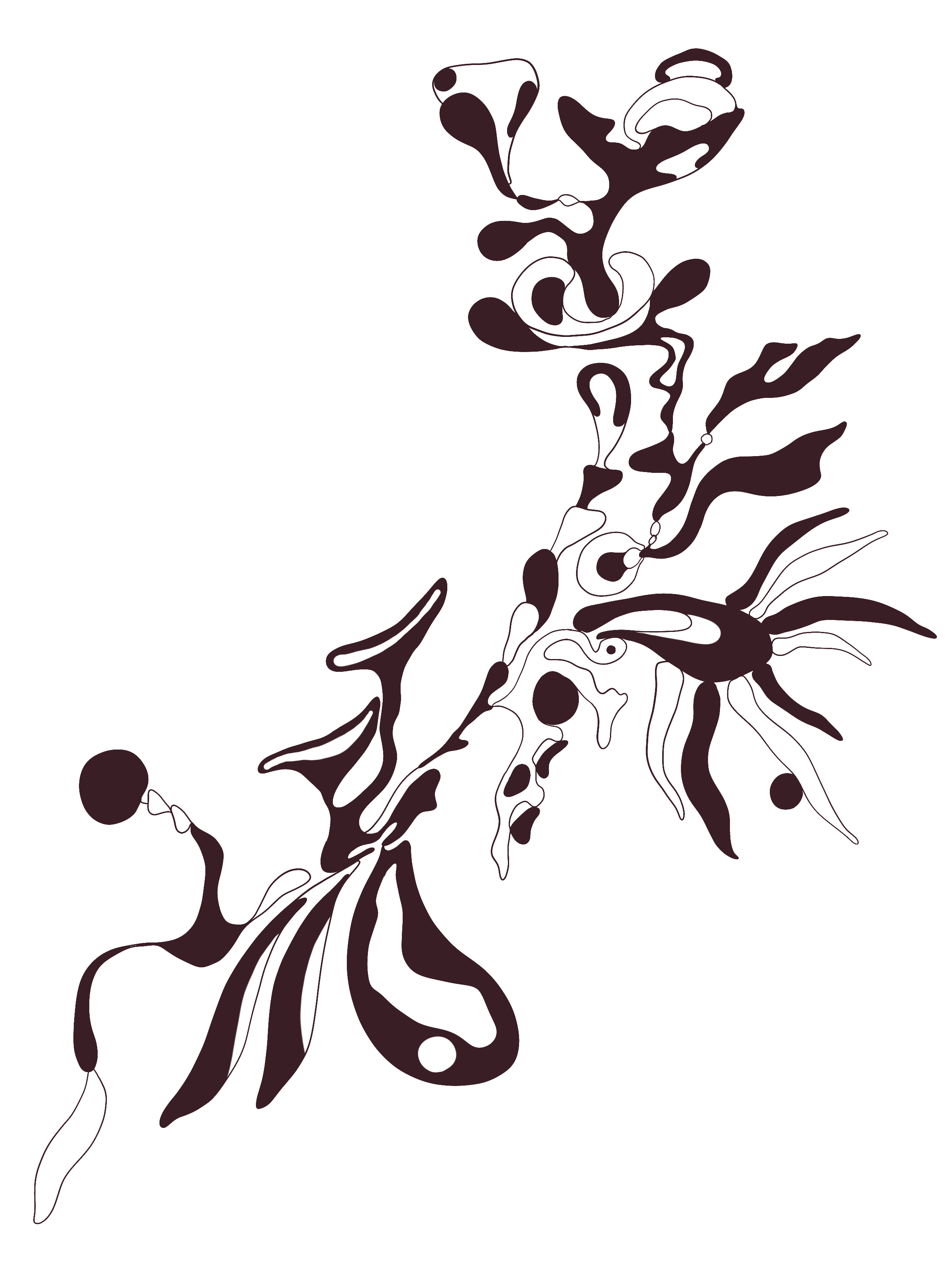 IMG_8851.PNG