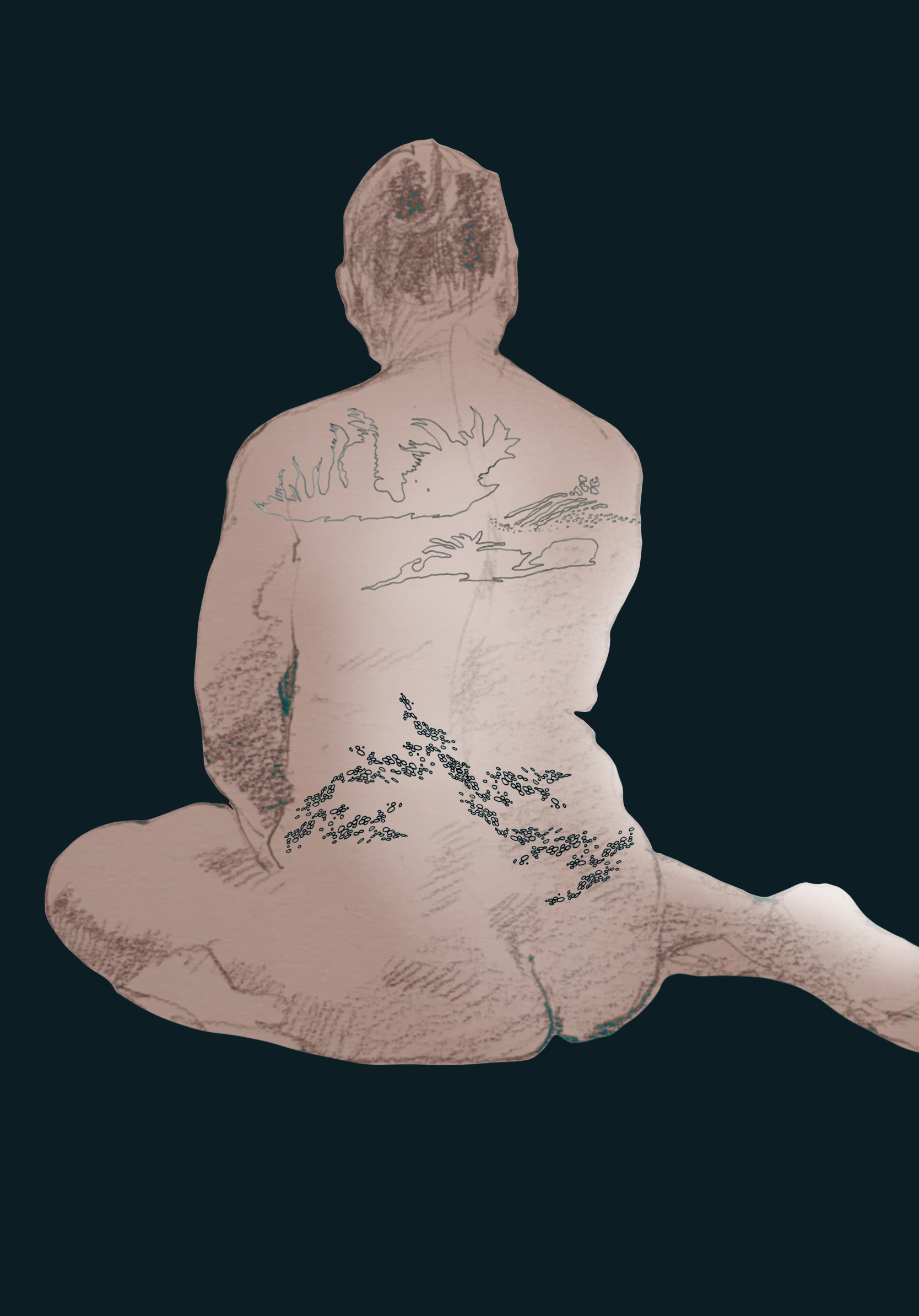 IMG_8841.PNG