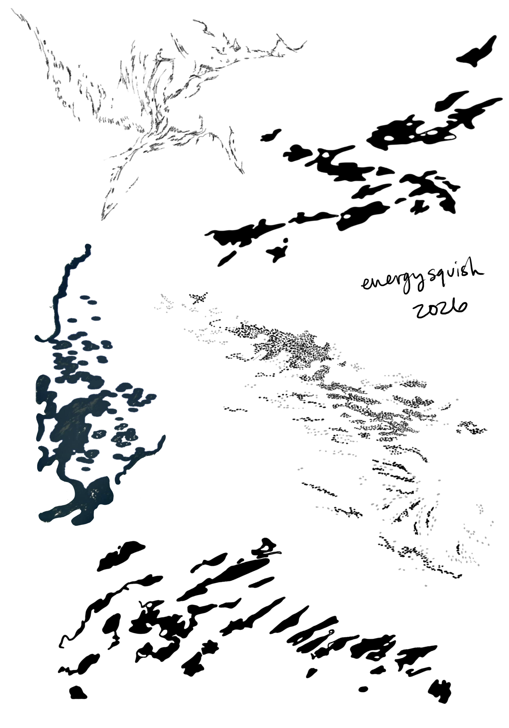 IMG_8894.PNG