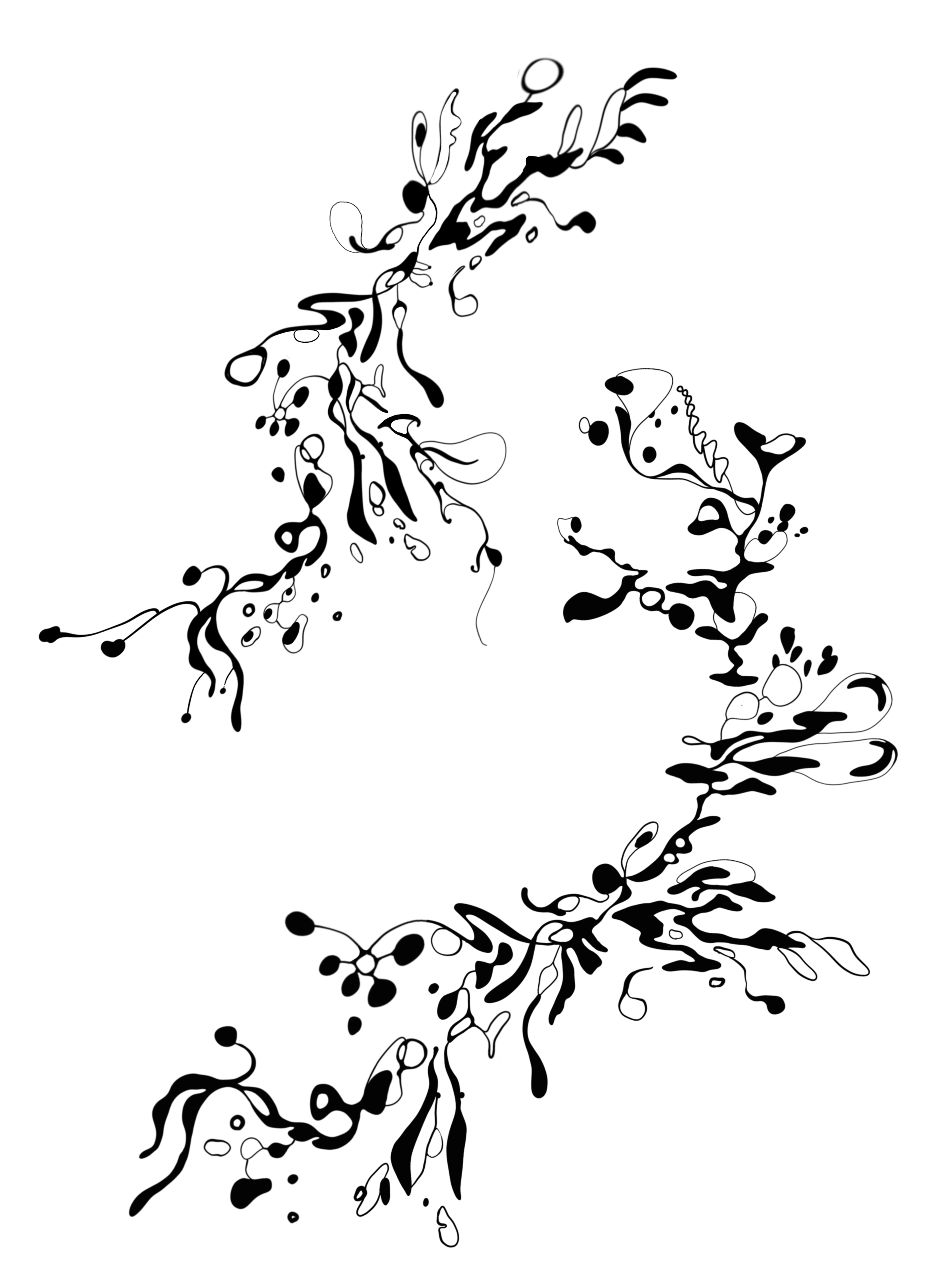 IMG_8901.PNG