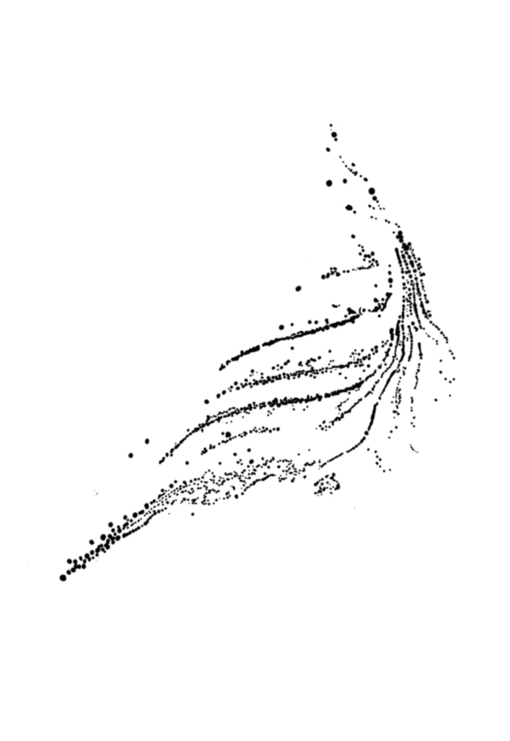 IMG_5865.png