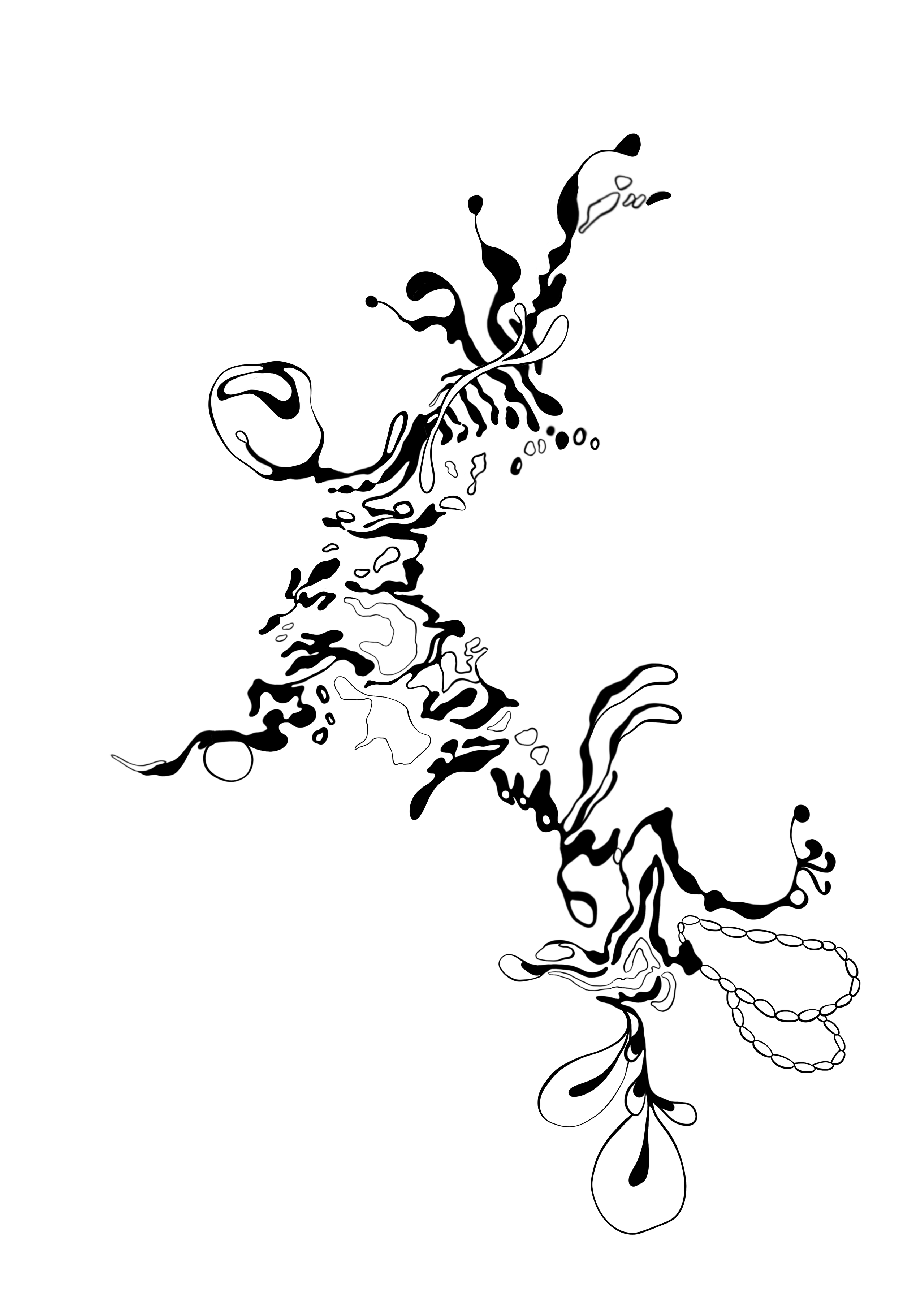 IMG_8853.PNG