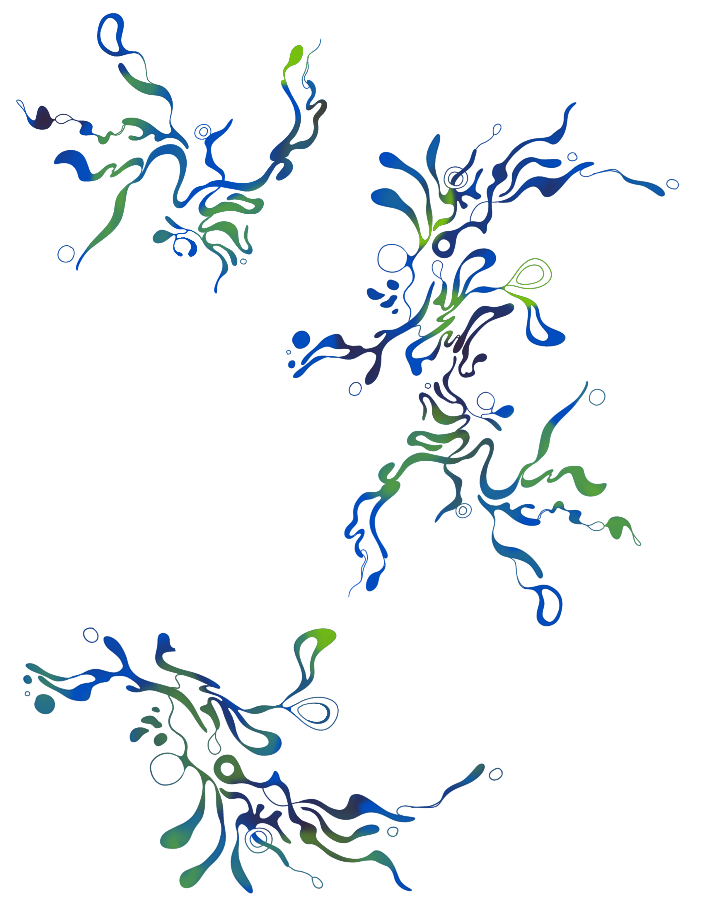 IMG_8854.PNG