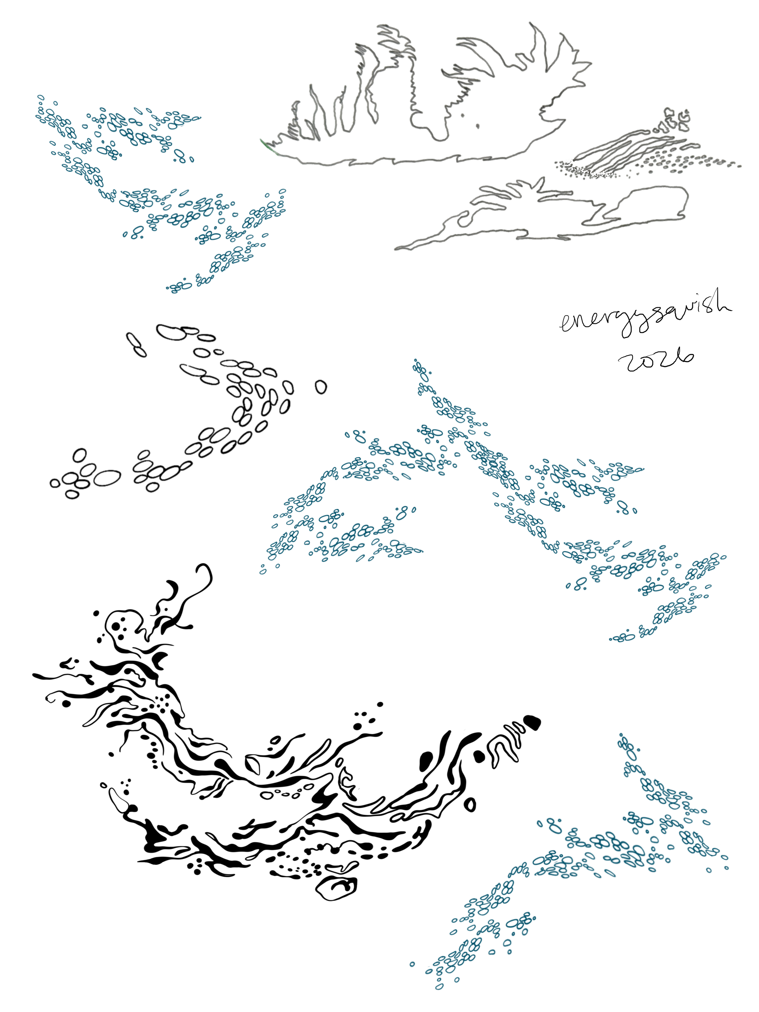 IMG_8898.PNG