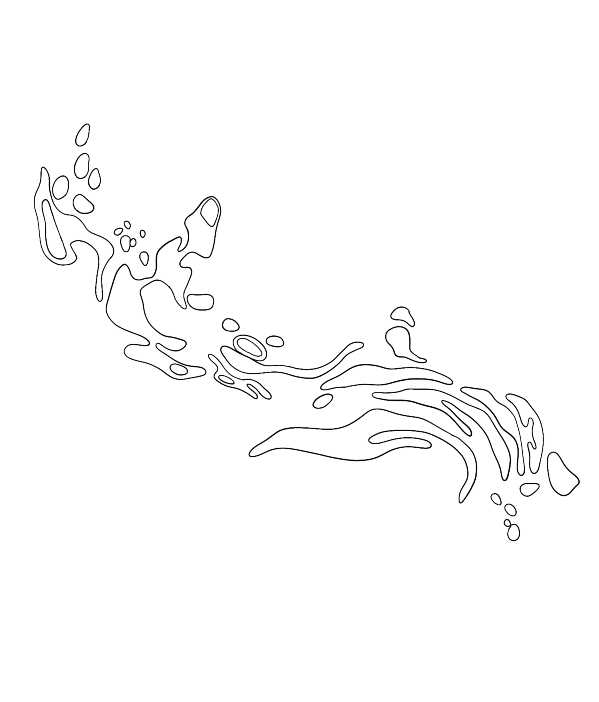 IMG_8092.png