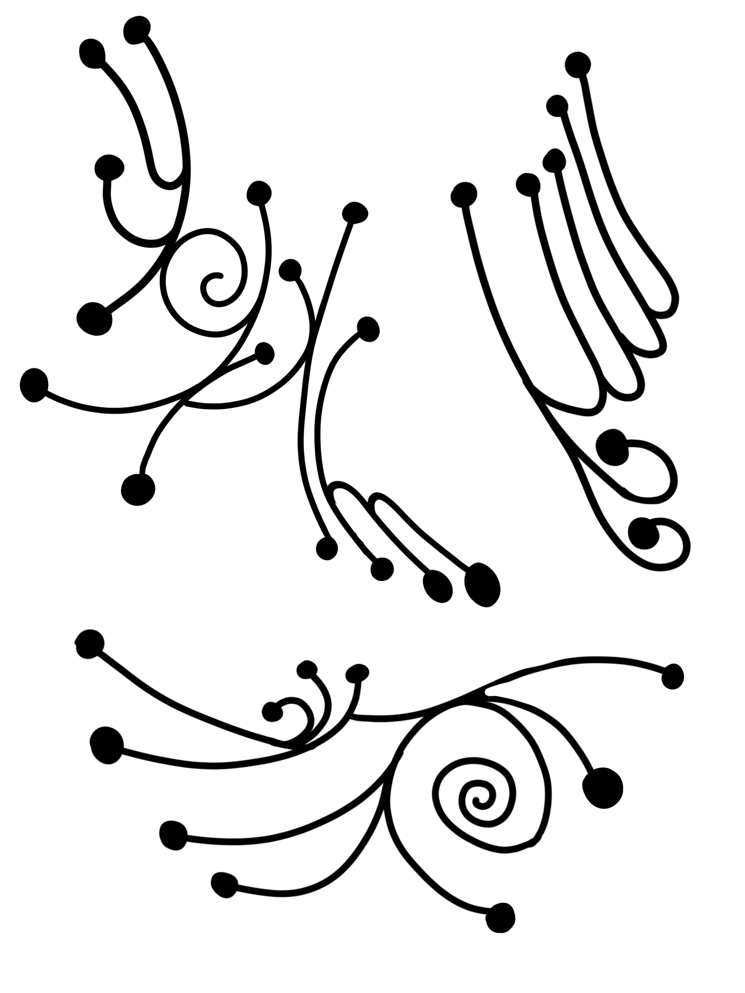 IMG_2864.png