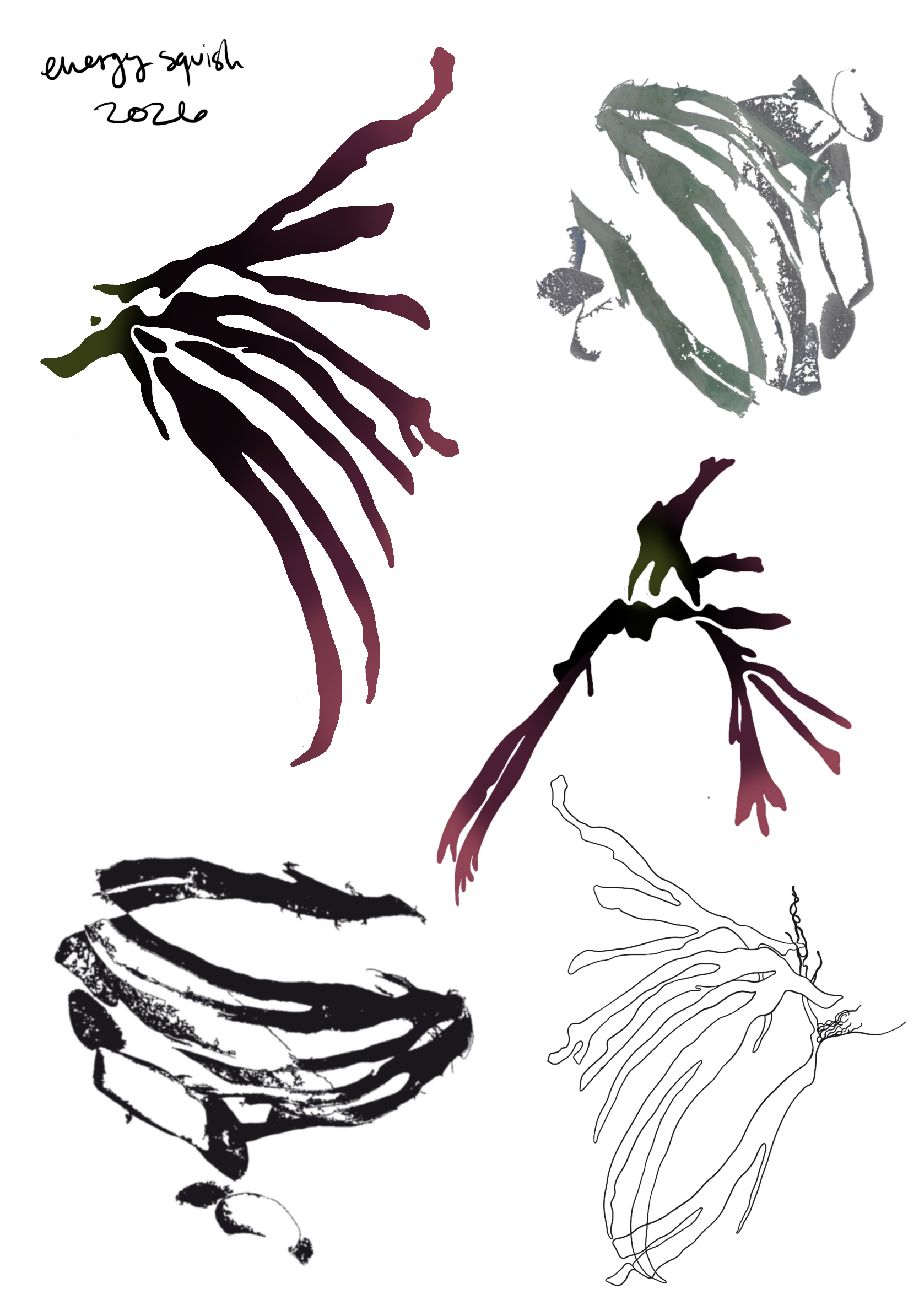 IMG_8896.PNG