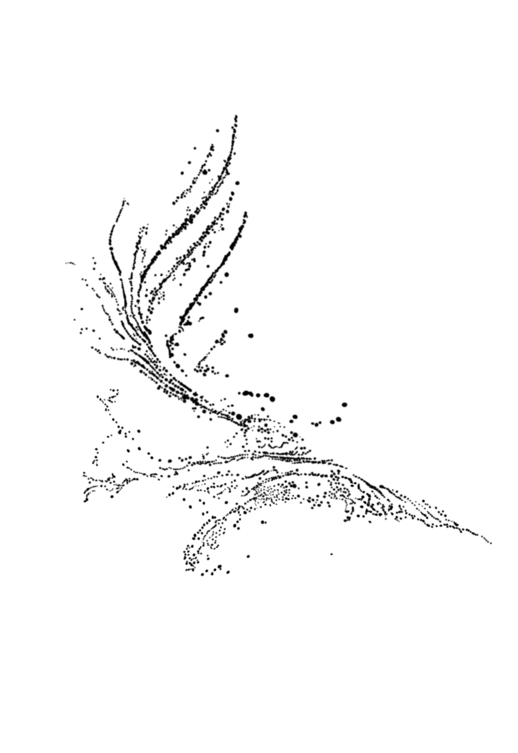 IMG_5865 1.png