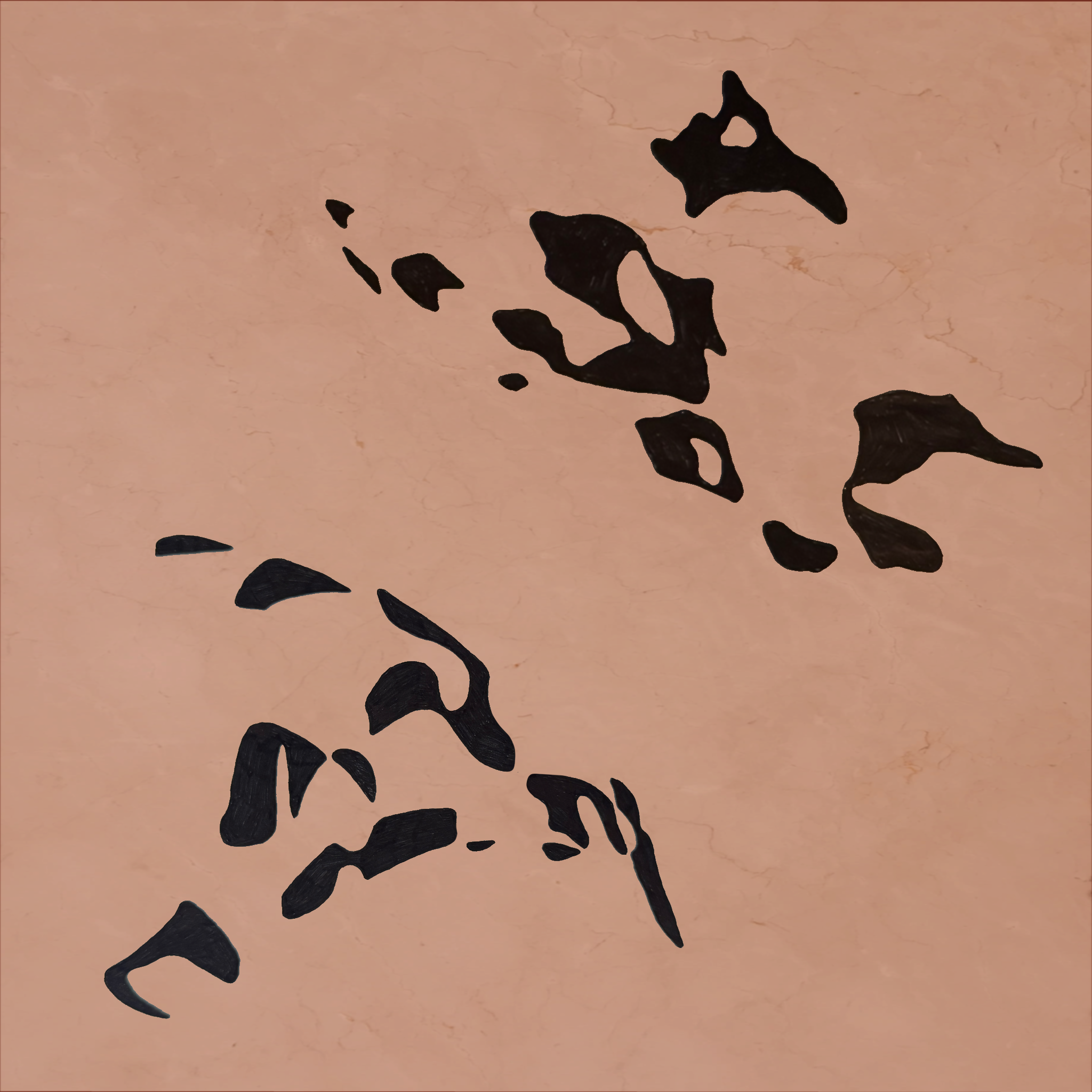 IMG_9061 2.PNG