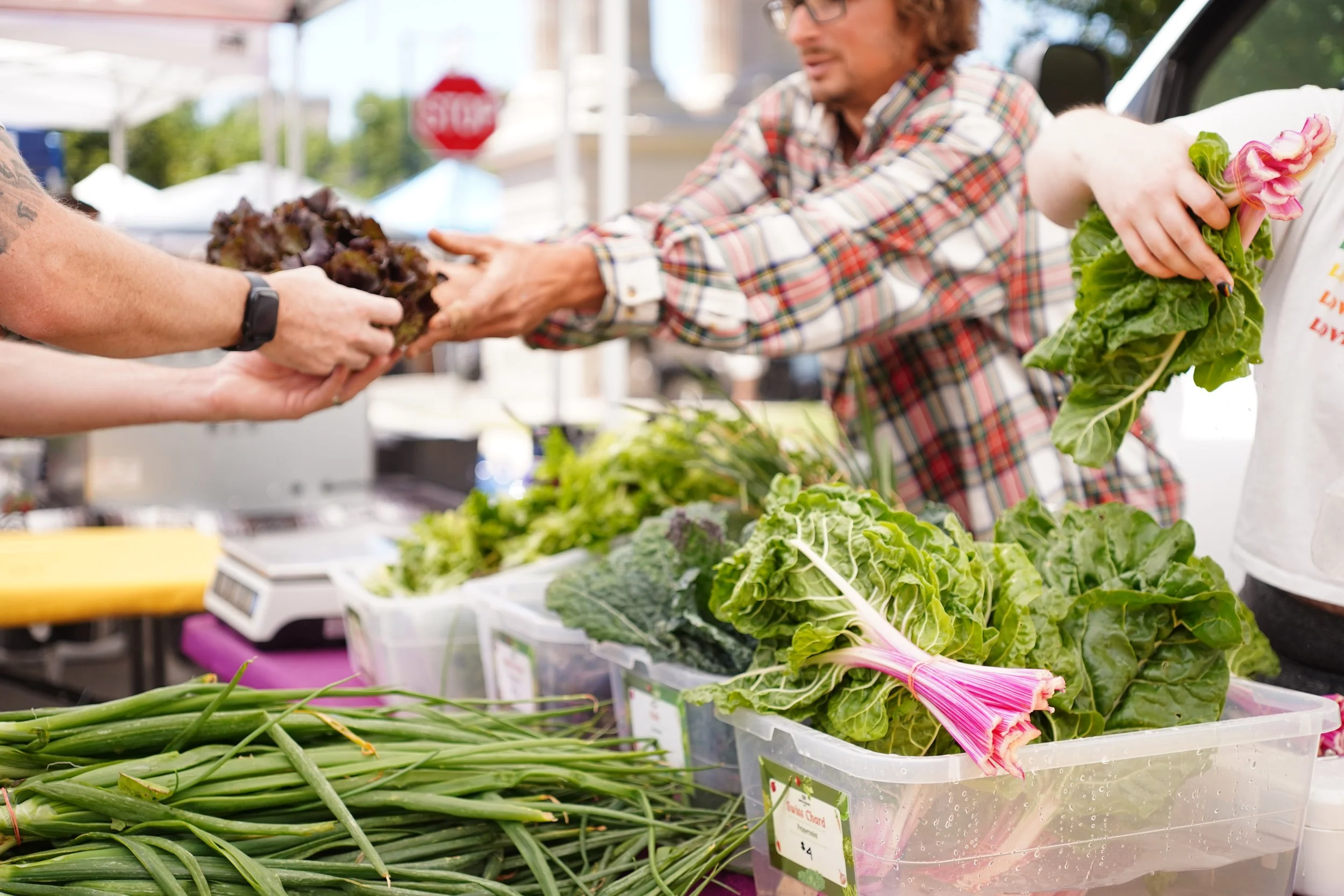 City Park Farmers Market