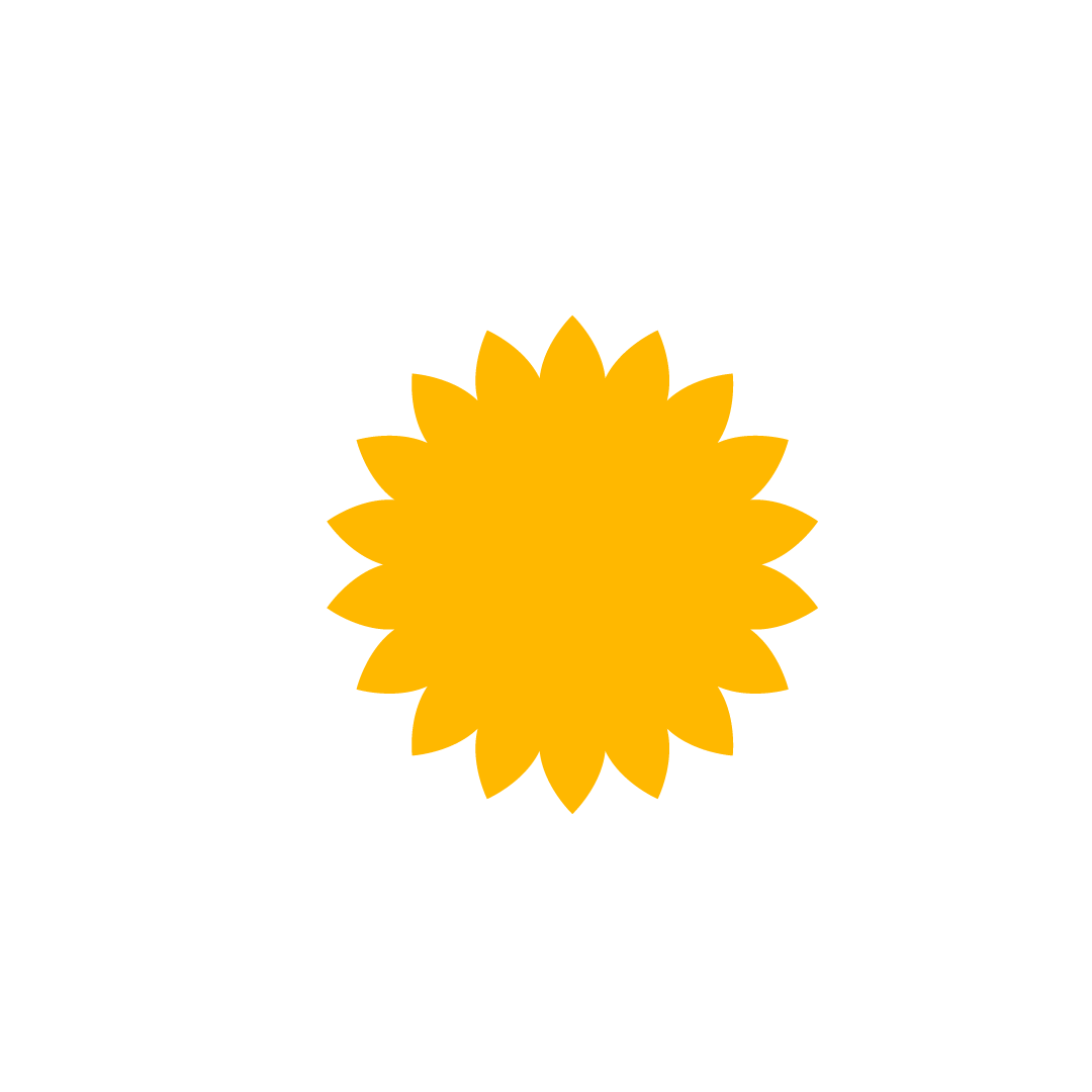sunflower.png