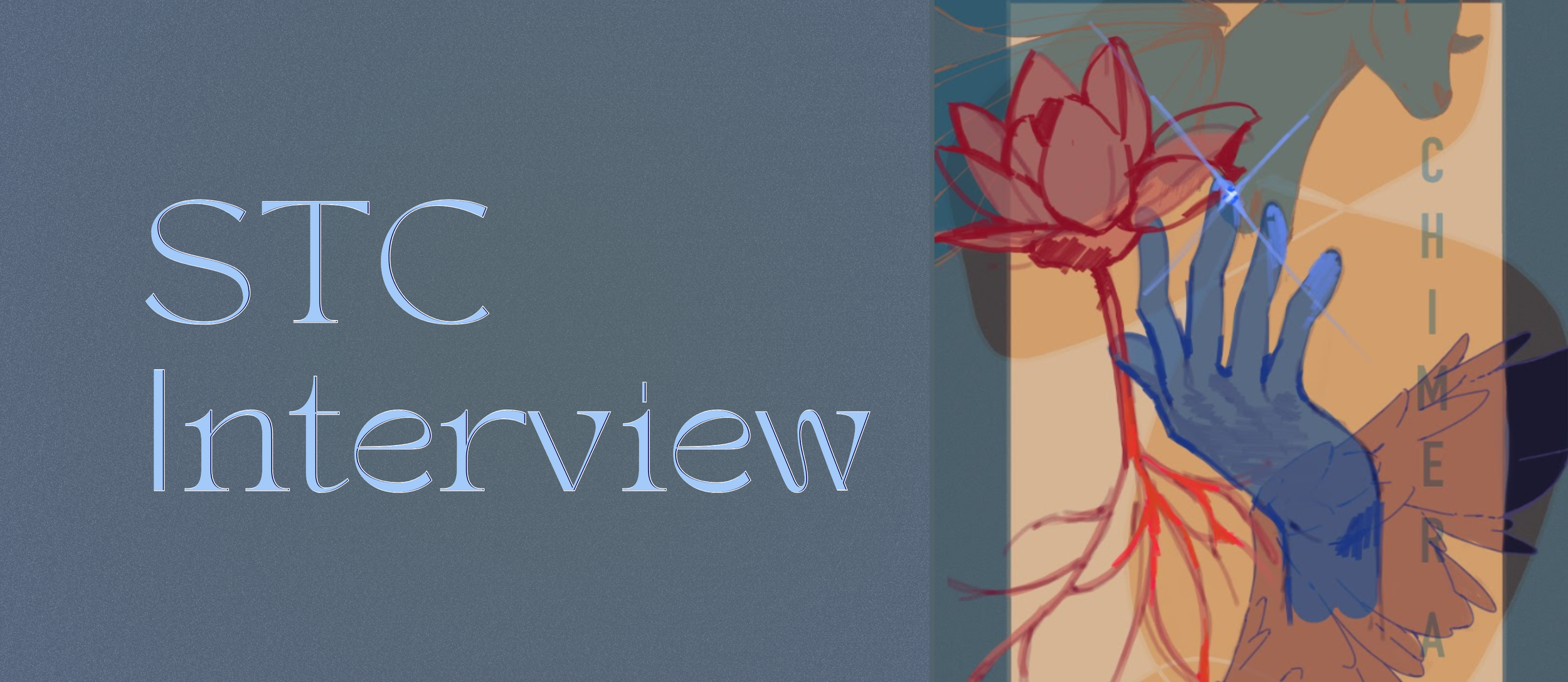 STC Interview