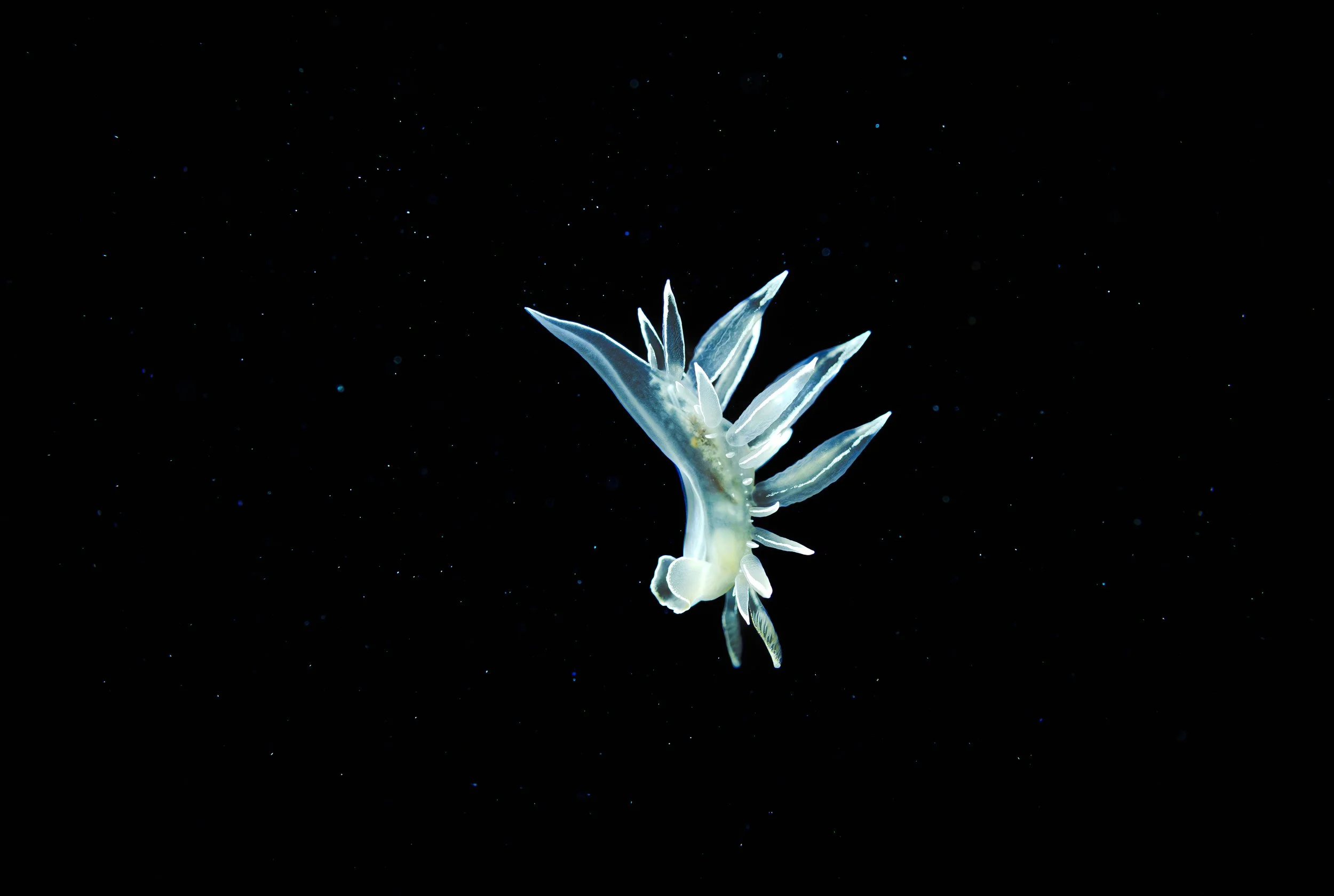 Floating Through Space.jpg