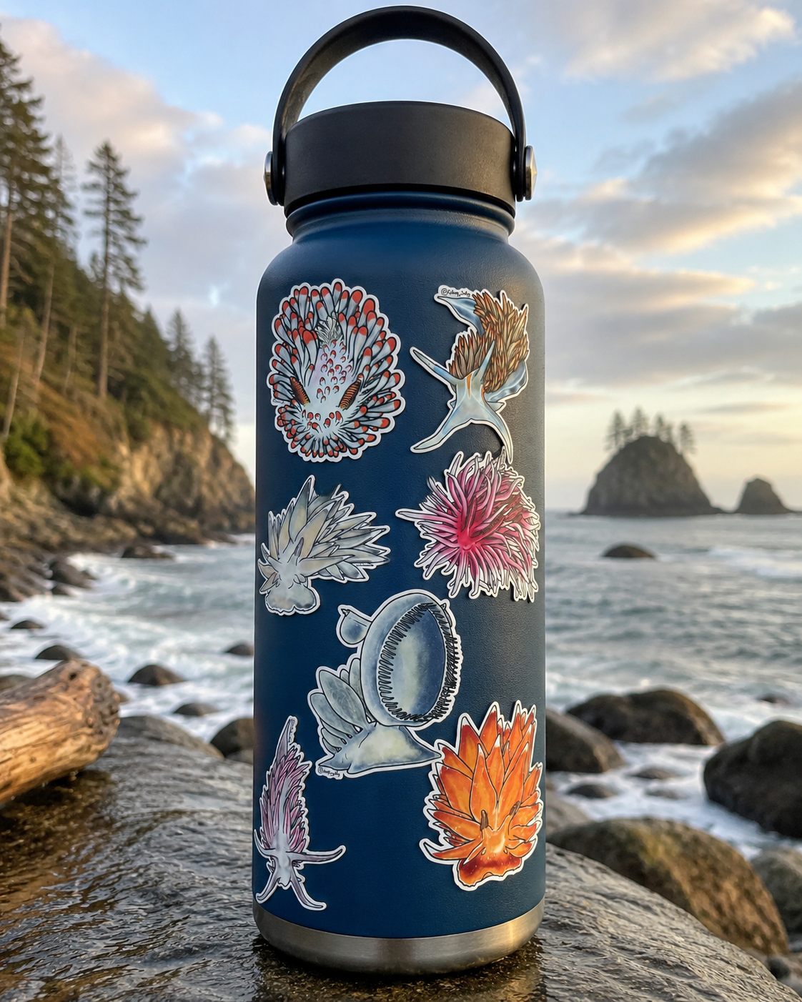 Neon Drifters - Pacific Nudibranch Collection - WaterBottle.png