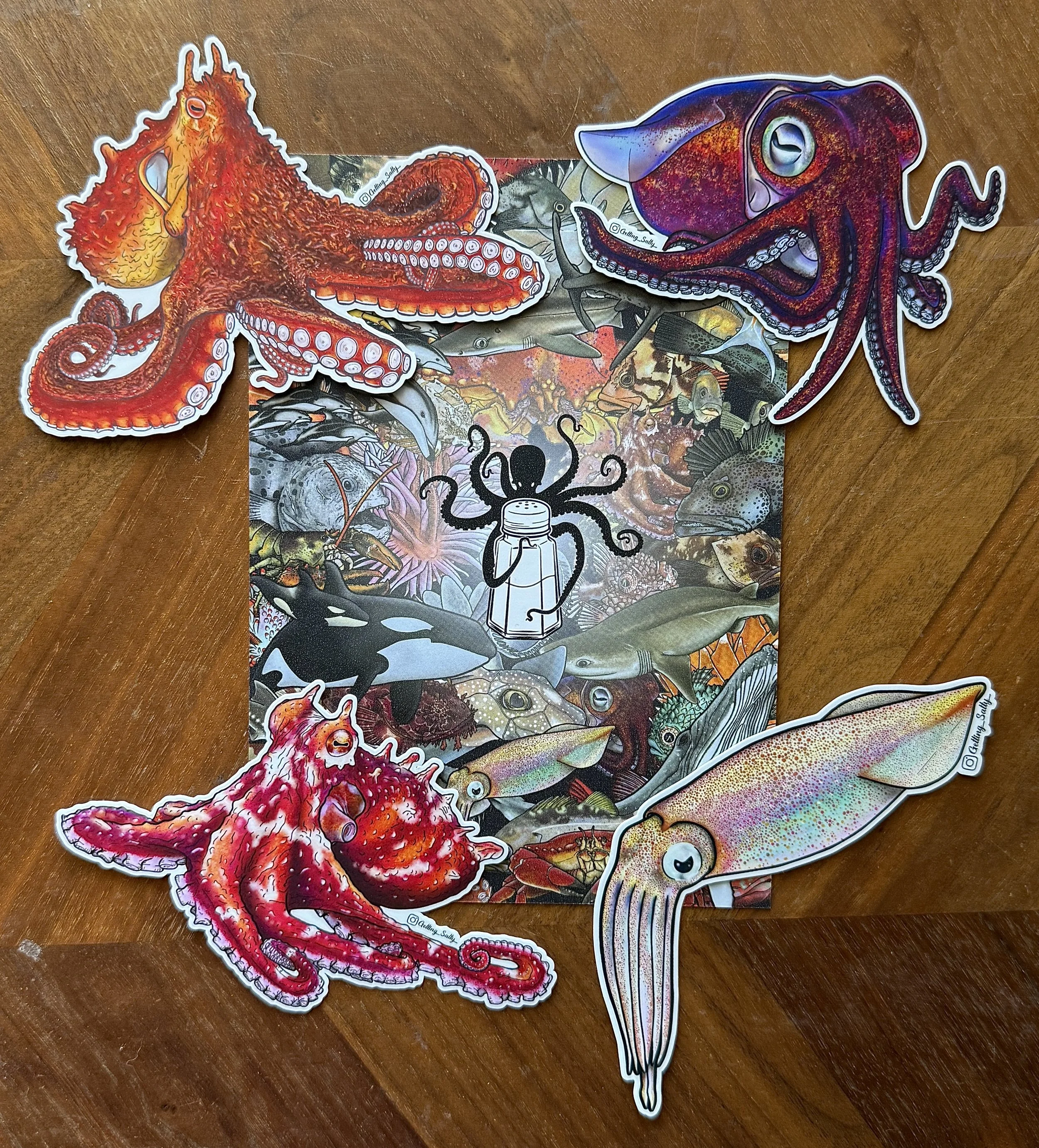 Masters of Disguise - Pacific Northwest Cephalopods - Sticker Pack