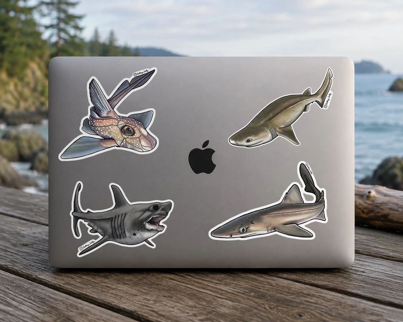 Cold Blooded - Pacific Northwest Shark Collection - Laptop.jpg