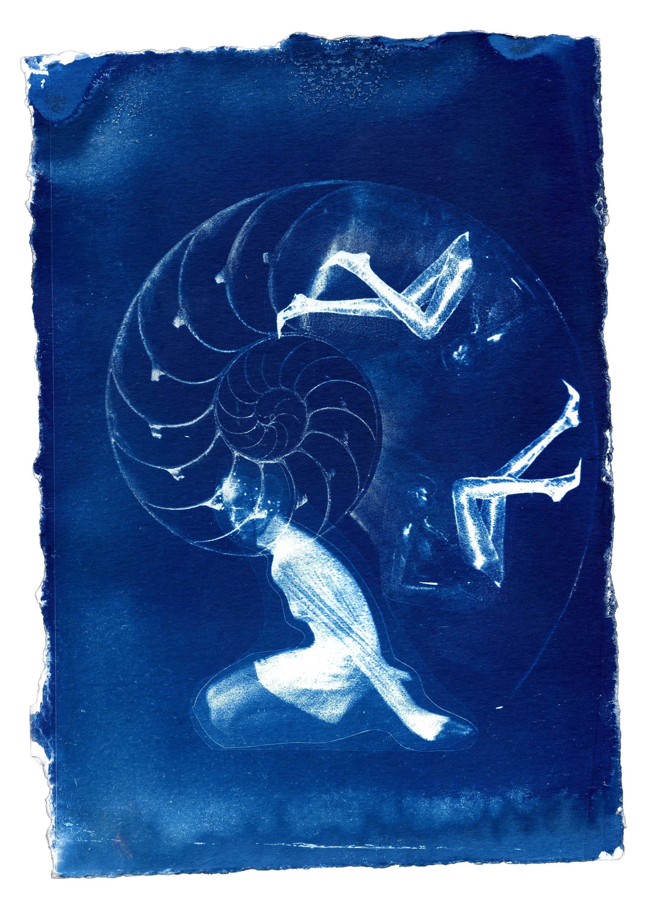 cyanotype20260523_0026-small.png