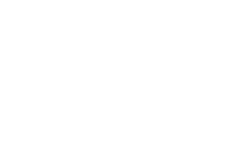 The Village Pub