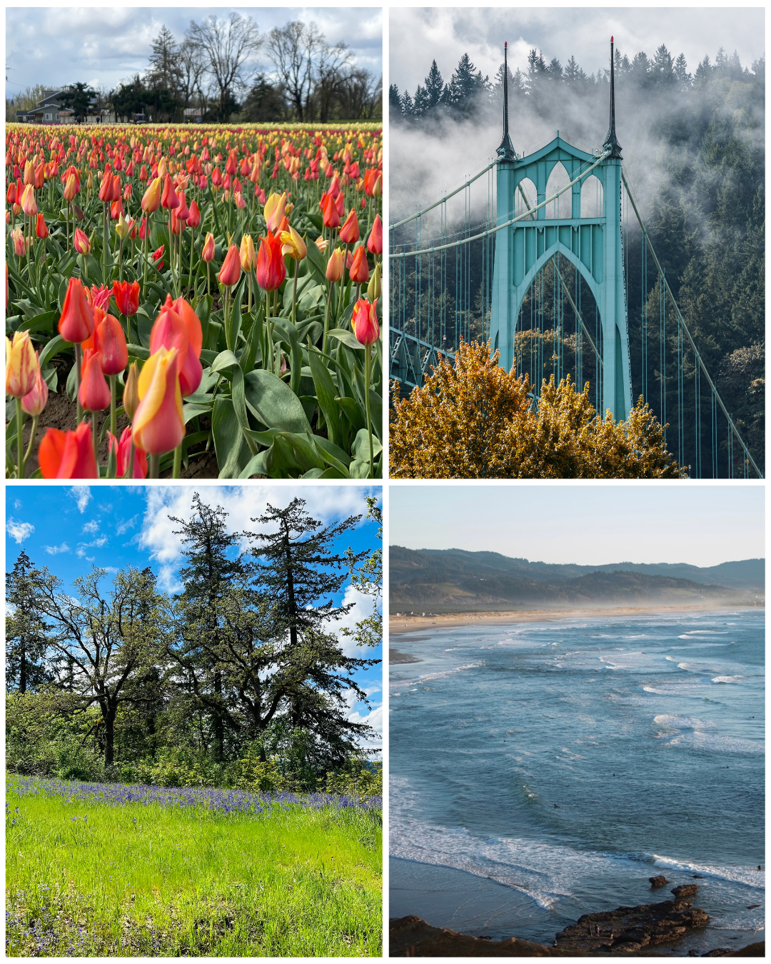 Best Senior Photo Locations in Portland