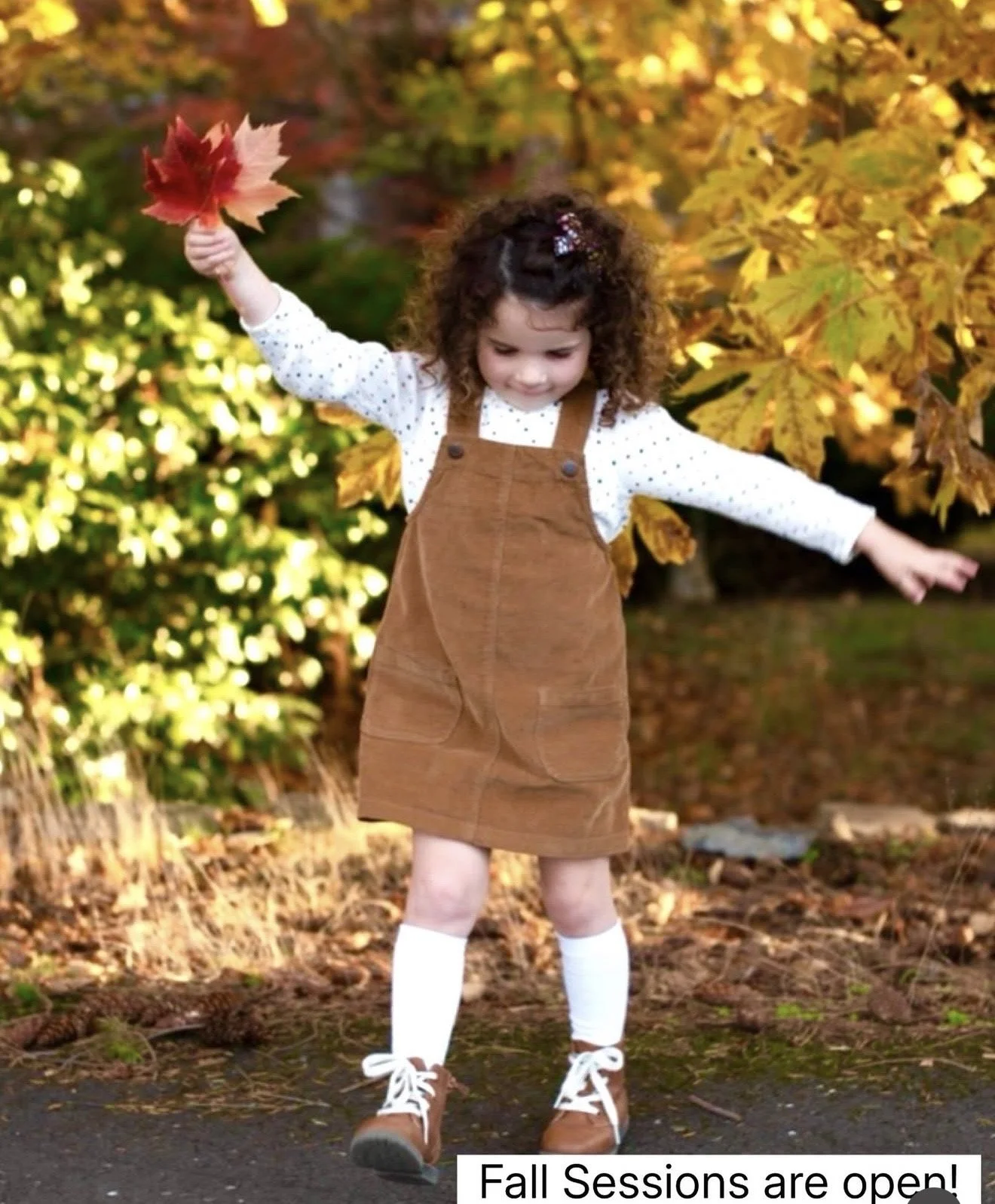 Portland, OR Family Photographer | Fall Family Photo Sessions Now Booking