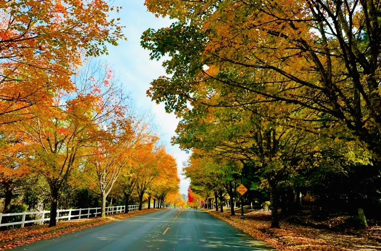 Best Portland Fall Family Photo Locations for Stunning Autumn Portraits