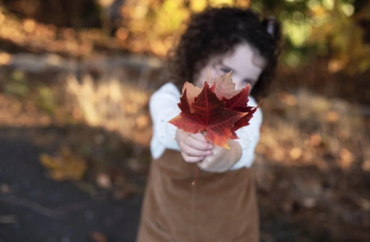 Fall Family Sessions are Open! 