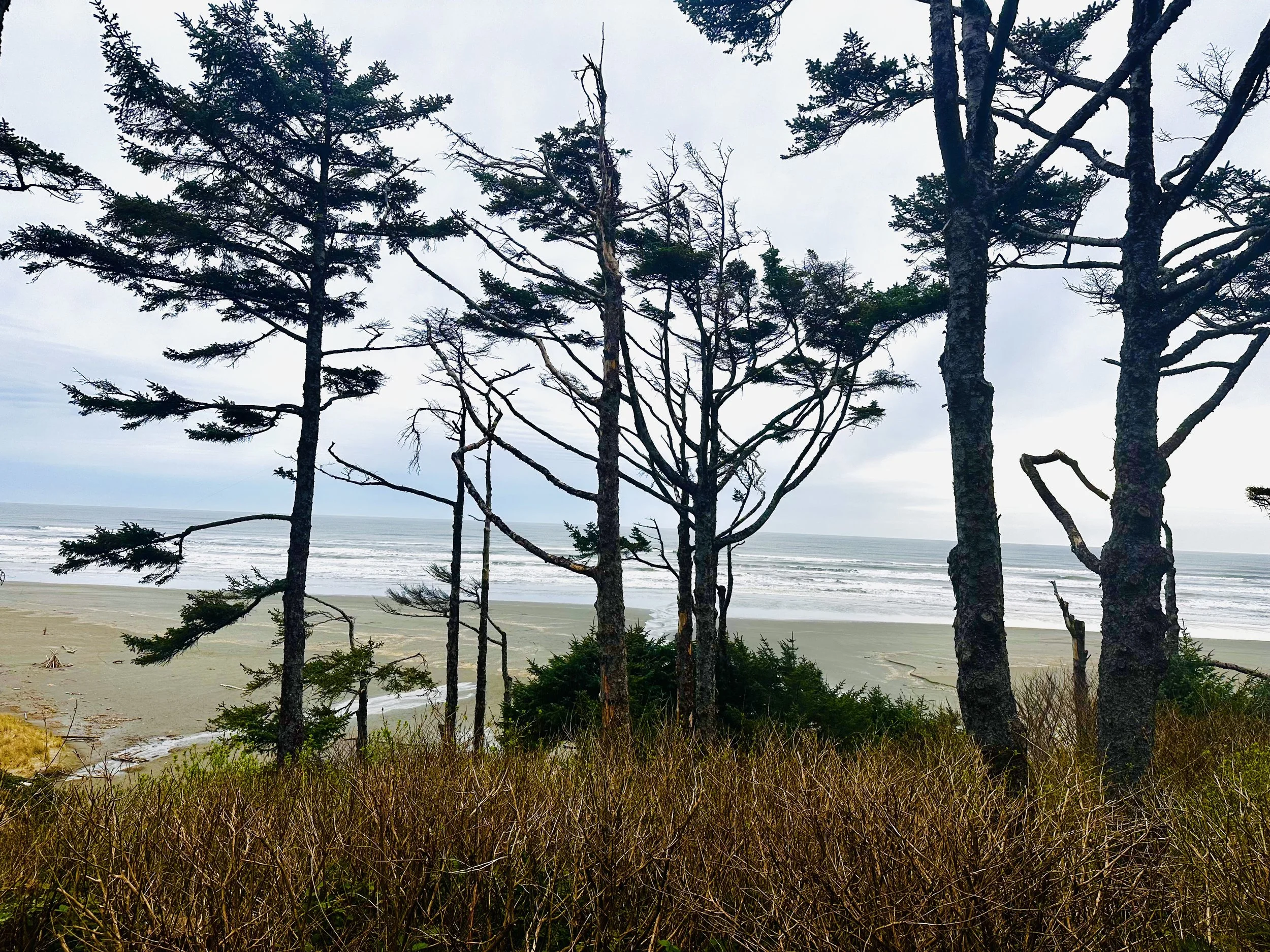 Fall Family Sessions Are Now Open at Coast