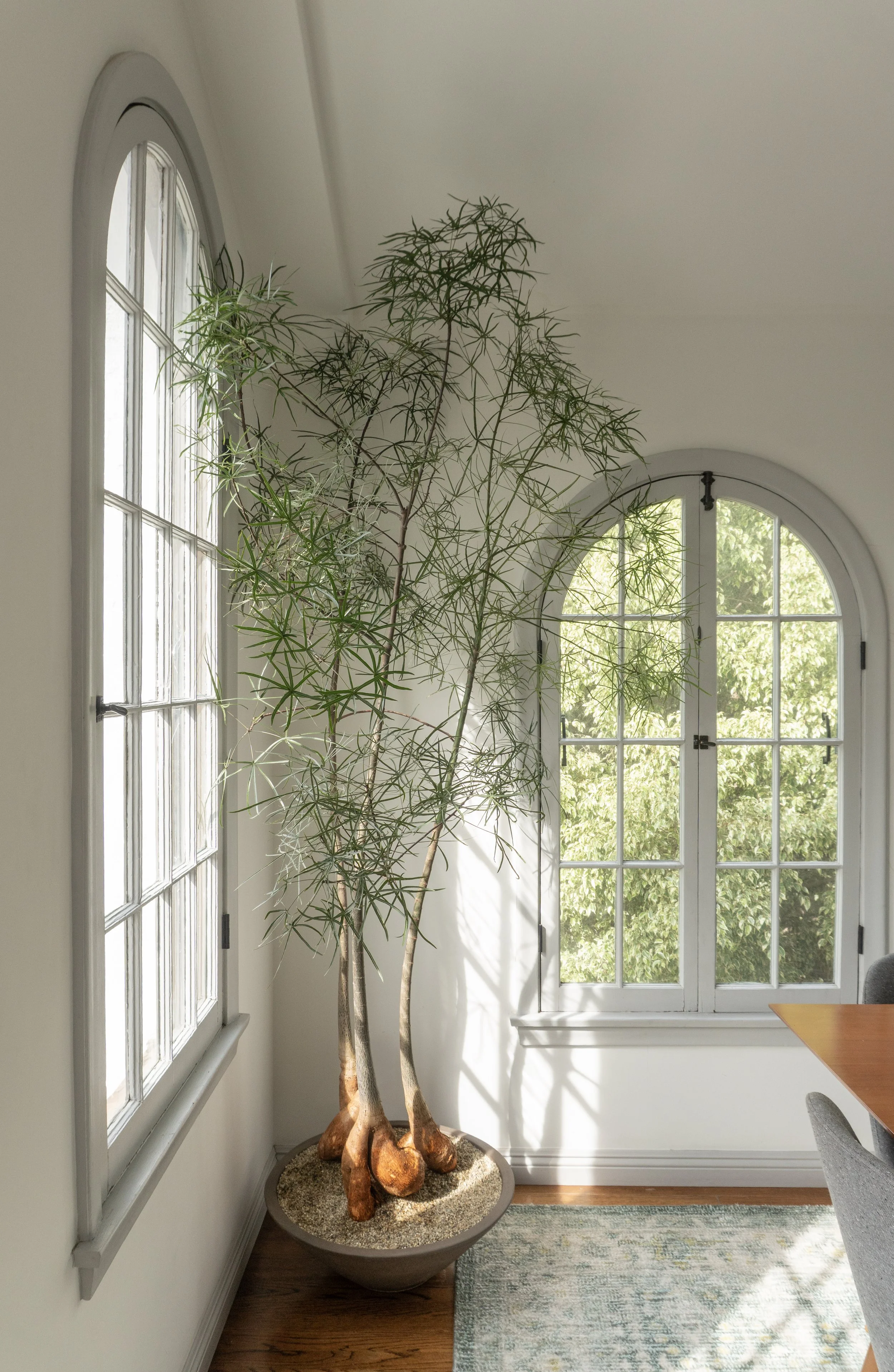 DSC02598 copy (2).jpg