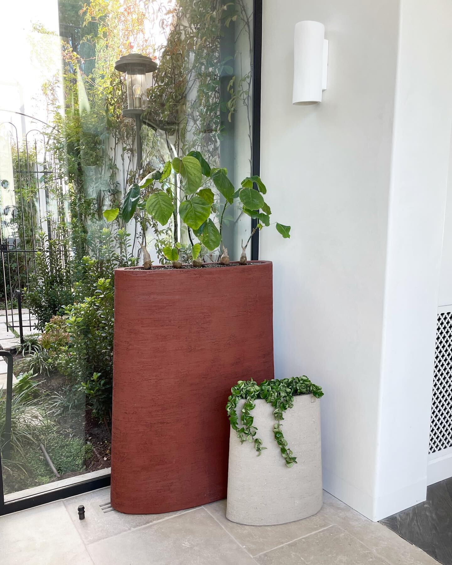 Plants but make it art 🌿; the most beautifully thought out entrance. 

We were approached by one of my favorite nurseries to connect with the interior designers of this project. They had a vision, we executed!🔥✨

Installed by: @plantitasverdes &amp