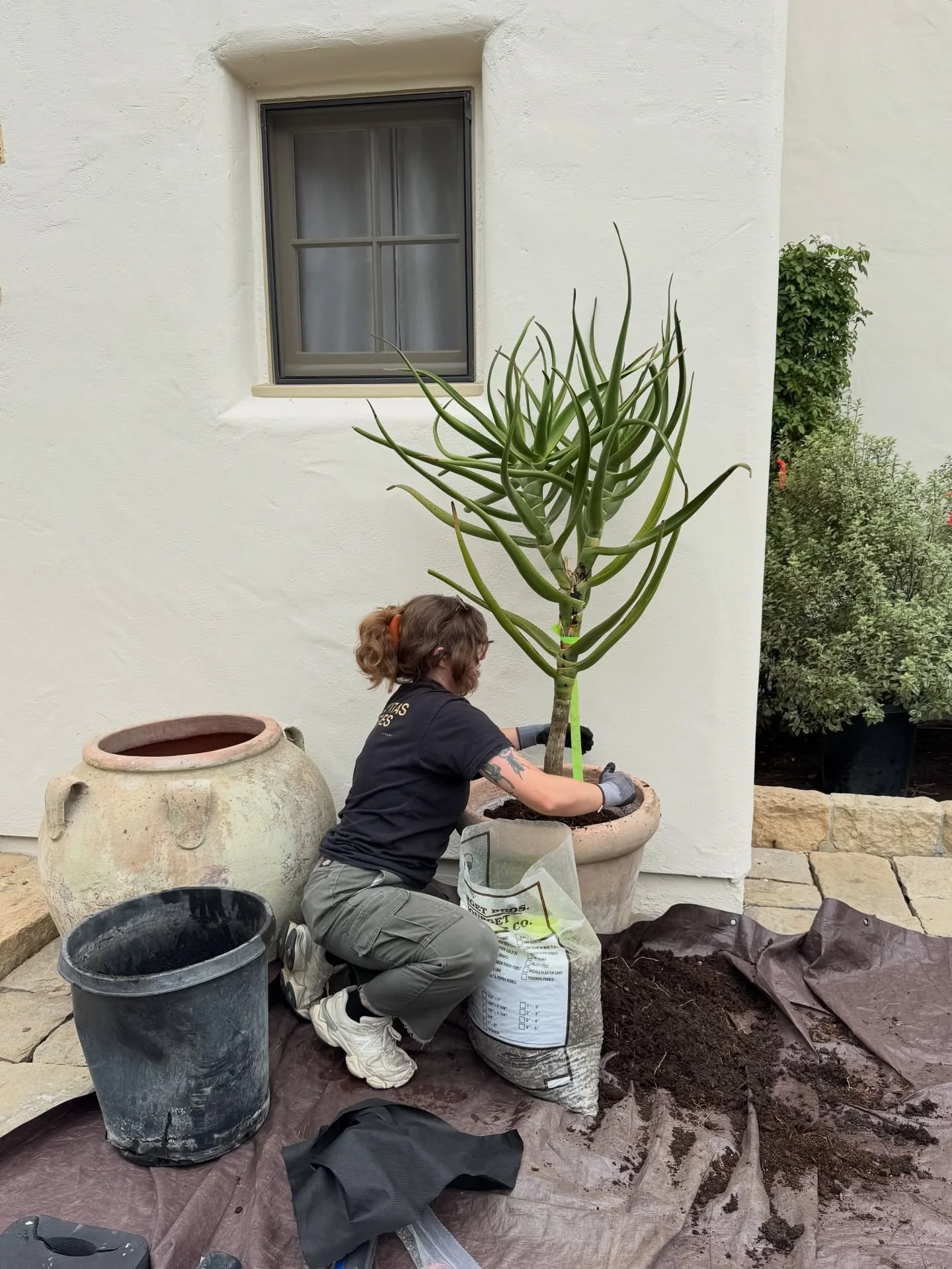 There&rsquo;s so much that happens behind the scenes from the installs to the maintenance and all the planning and coordinating in between.
 This team shows up for it all, rain or shine, ladders or lunches. 🤪 
 Every space we touch carries a little 