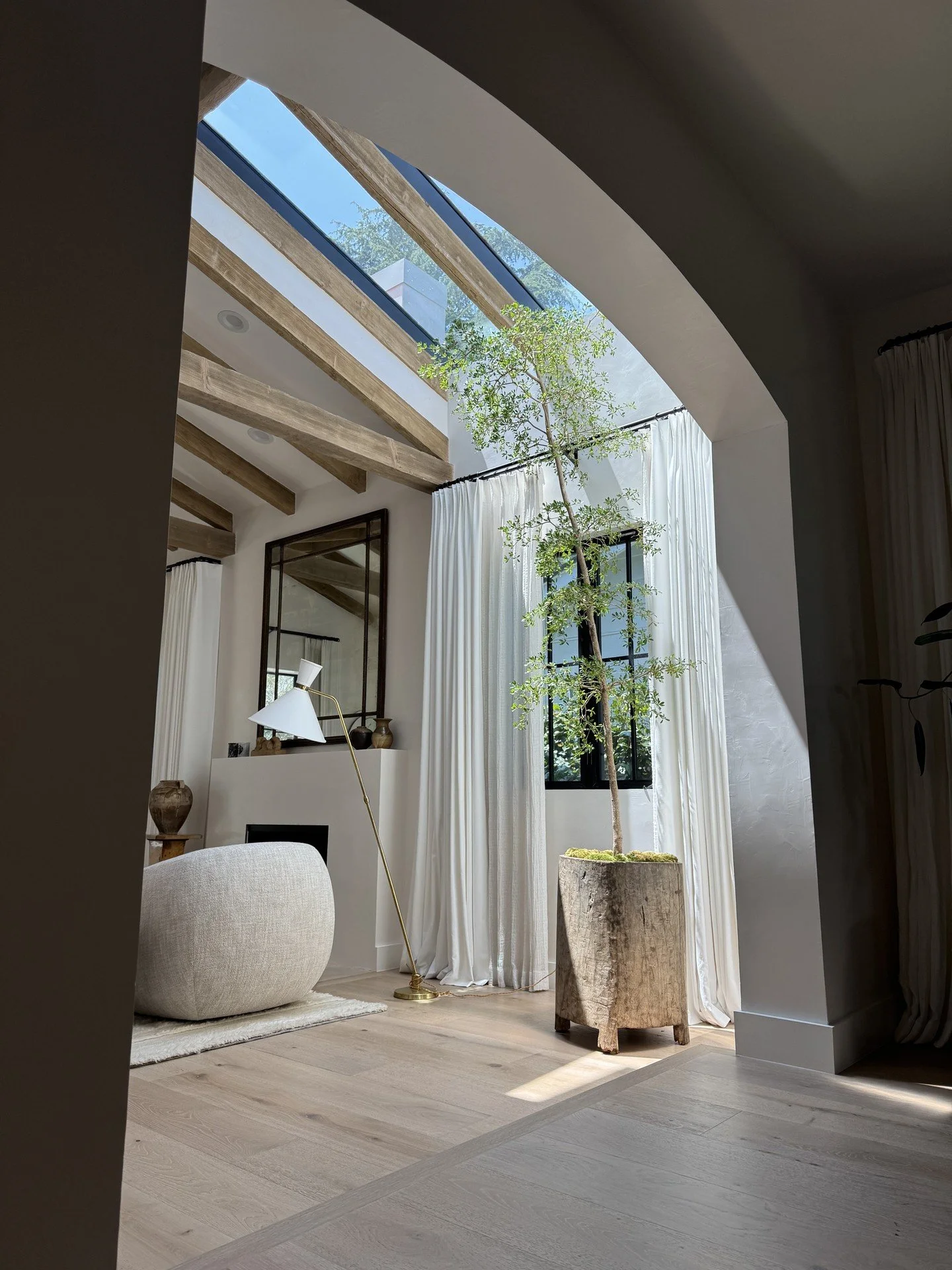 We cared for this black olive tree for two years, and it always reminds us how connected we become to the plants we tend. 🌿

We truly believe there&rsquo;s an energy exchange happening when we care for them. They respond to our attention, our presen