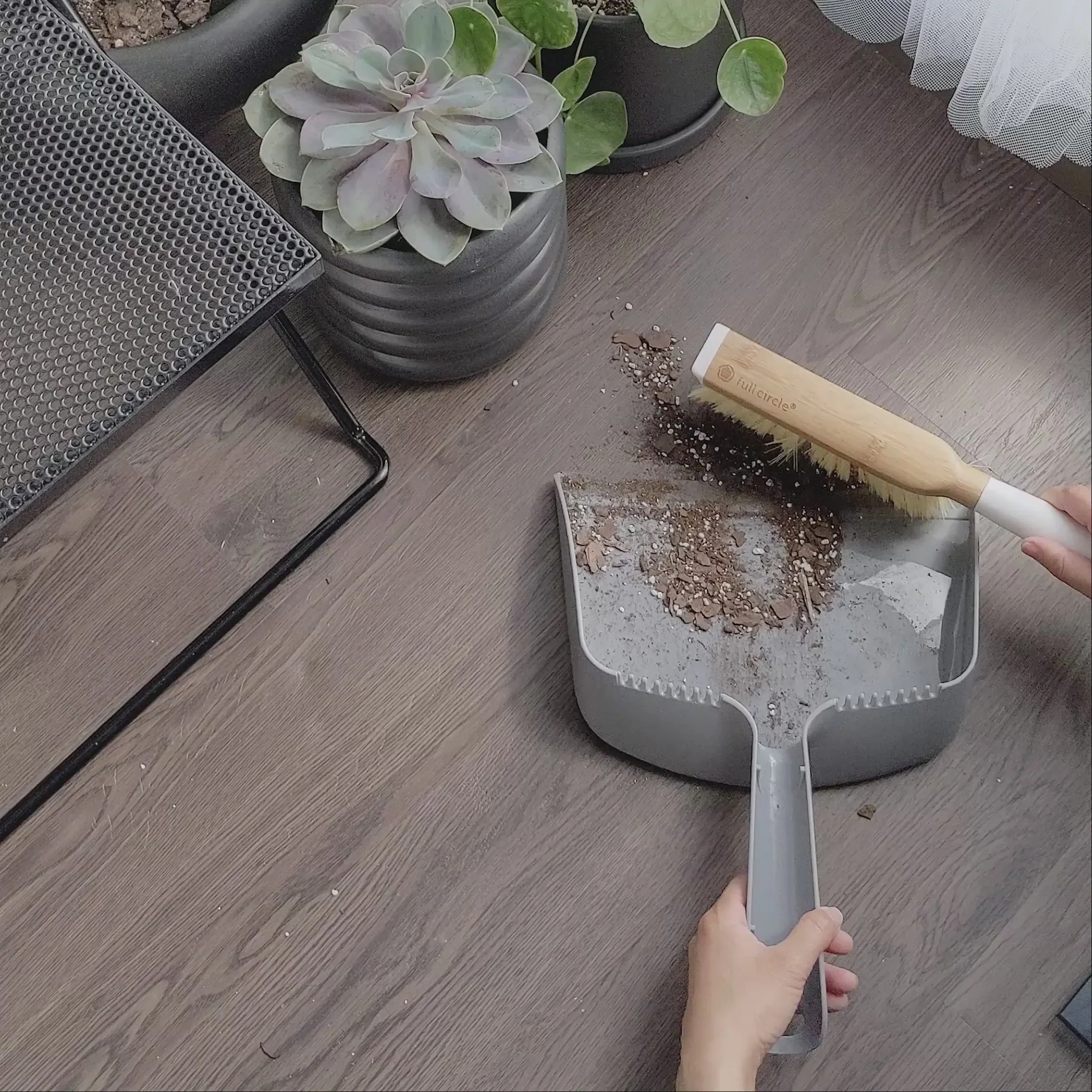 Plantitas Verdes Plant Maintenance: The Big 5