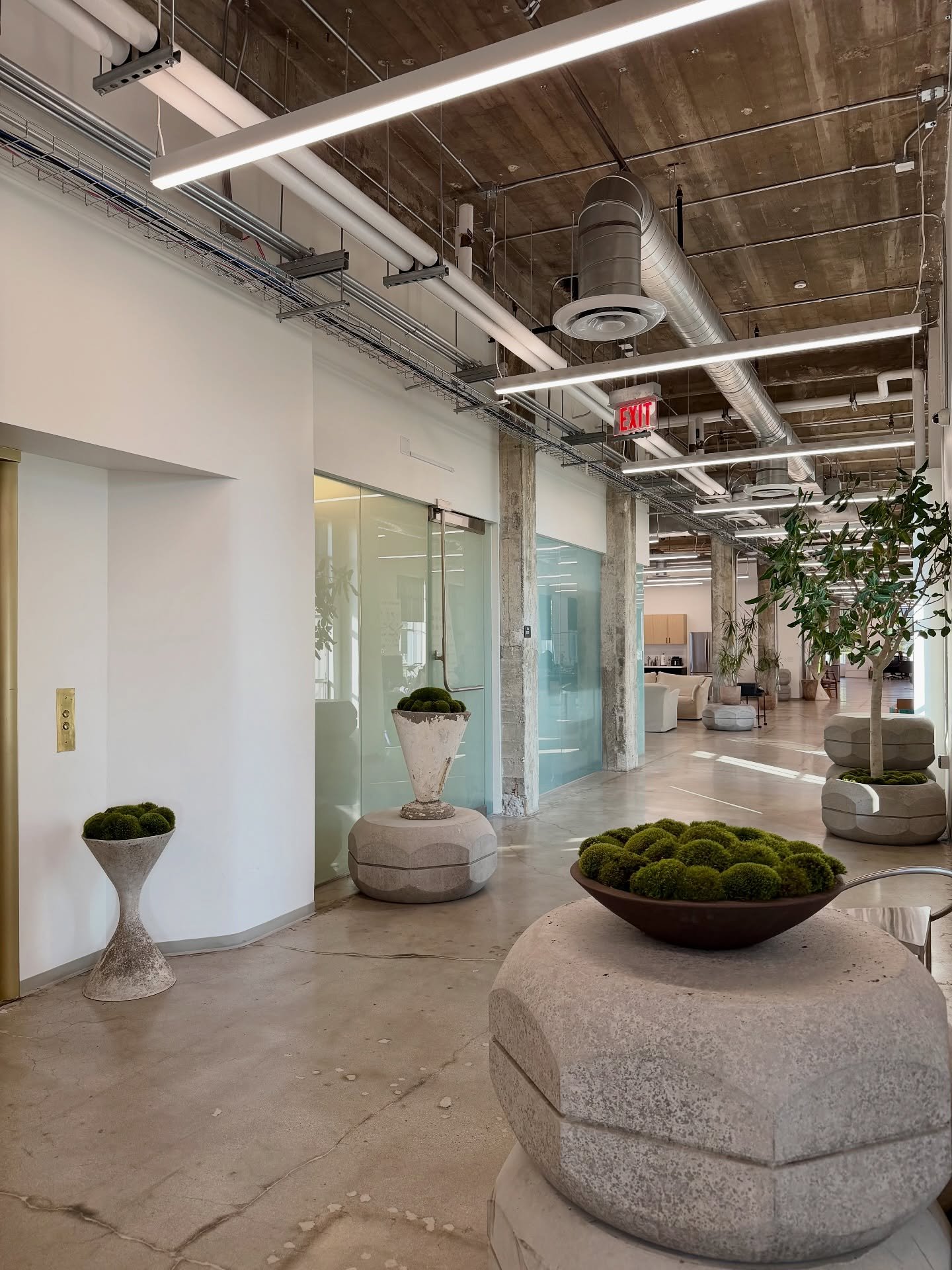 A refresh for our client, @fearofgod, for their new space.

We reworked their vessels with fresh moss, simple yet refined, creating a look that feels elevated, intentional, and in tune with their minimalist brand.

A simple refresh brings everything 