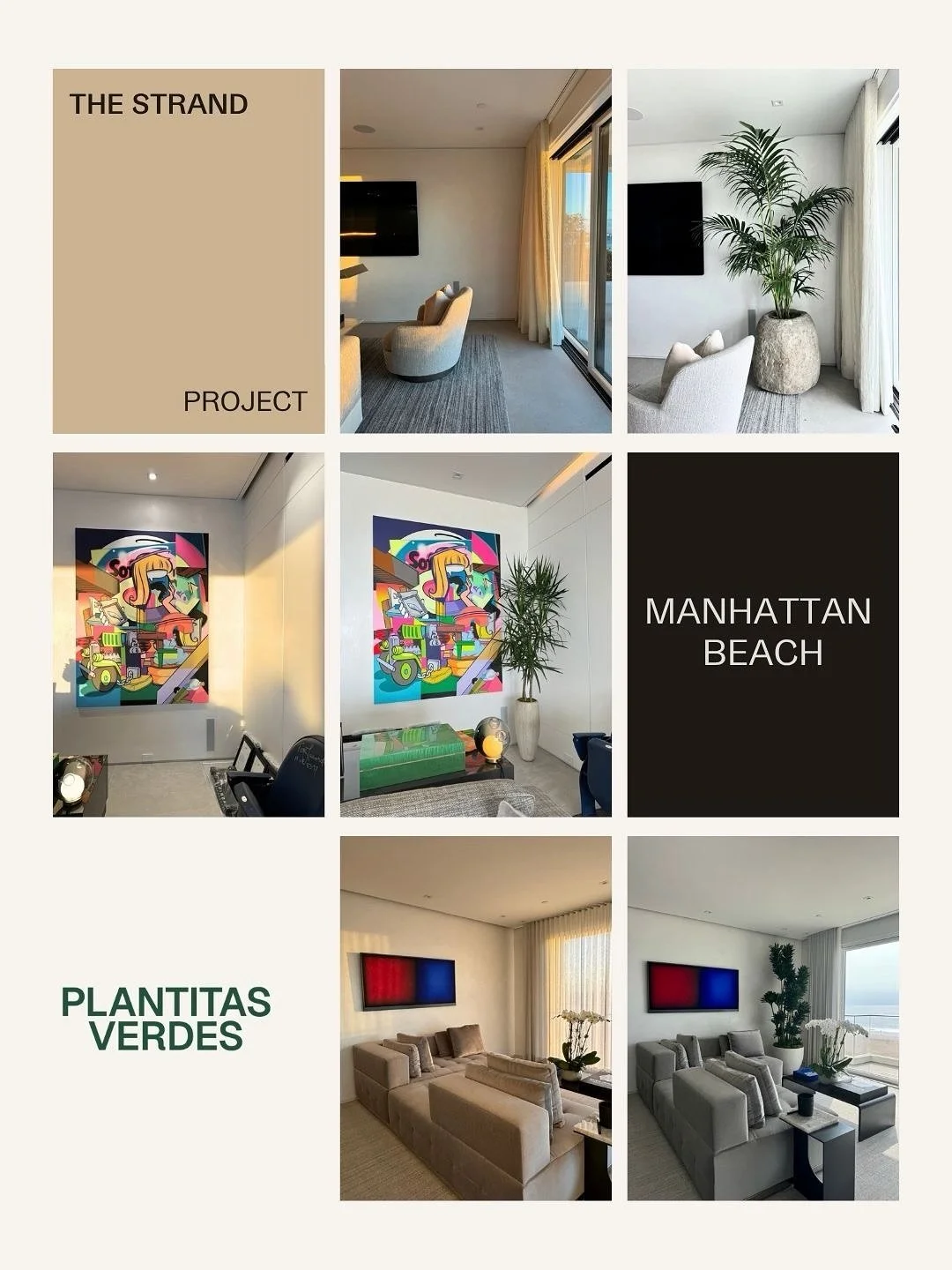 Three plants, three moments.

At The Strand, every space already had a story: art-filled rooms, ocean views, and that easy California light. Our role was to weave in greenery that complemented, not competed.

From the Dracaena to the beachside Kentia