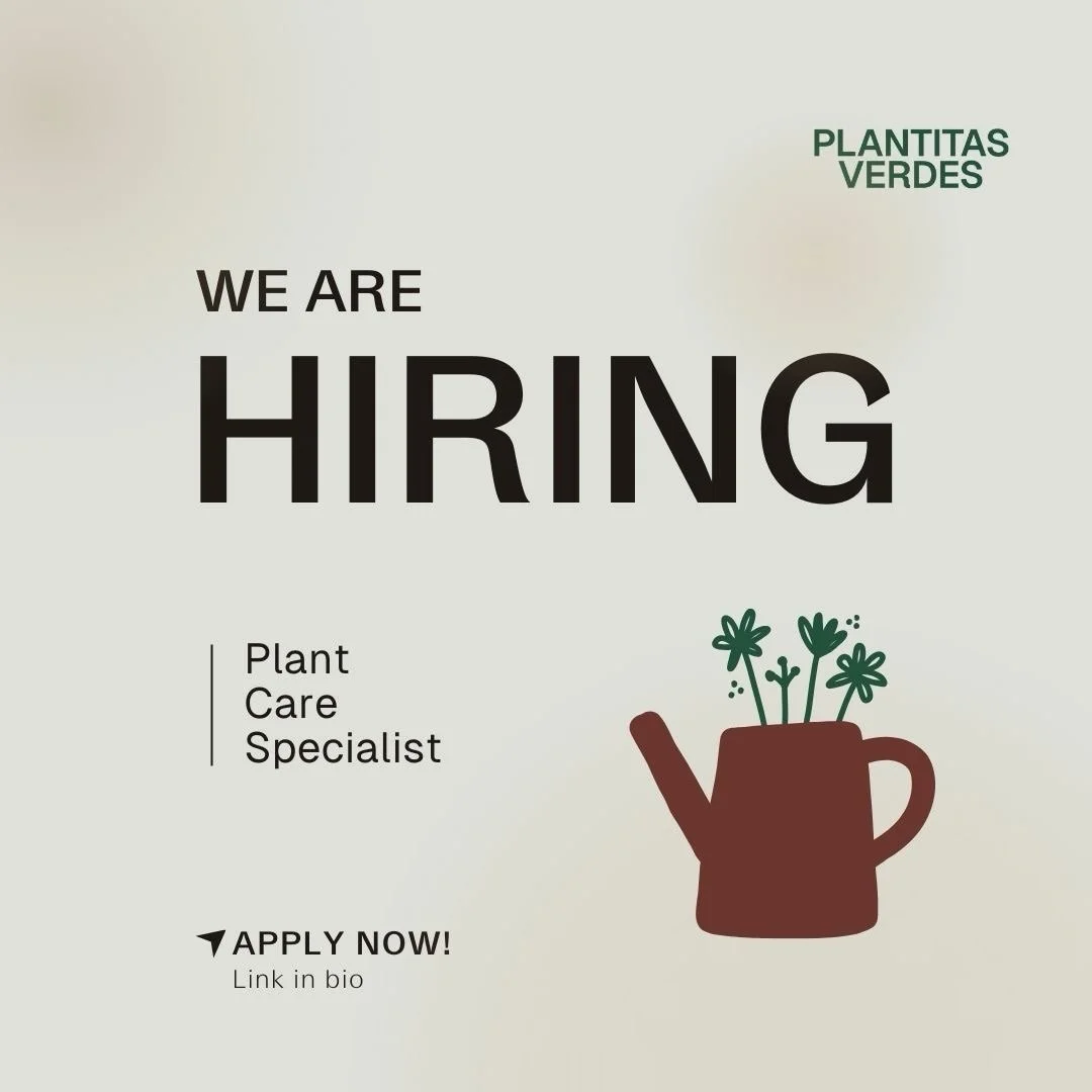 We&rsquo;re growing&hellip;and adding to the team! 🥳
 Plantitas Verdes is looking for a Plant Care Specialist to join our team. Someone who loves and knows plants well, pays attention to the details, and enjoys caring for beautiful spaces around LA.