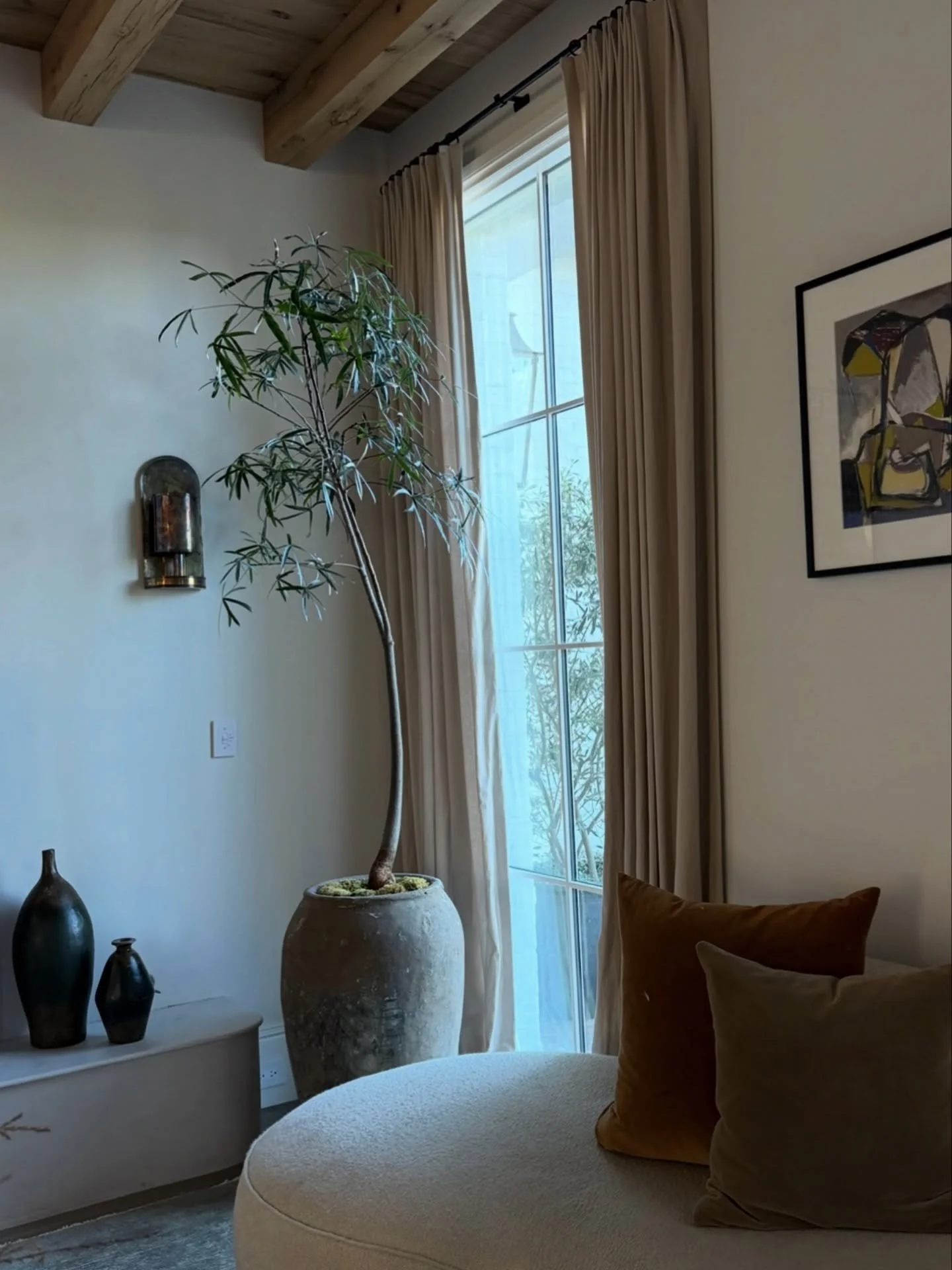 Not all statement plants are high maintenance. Brachychitons are tough yet instantly add a luxe vibe to any space. A Plantitas Verdes fav for clients who want something unique without the fuss. 🙌🏼