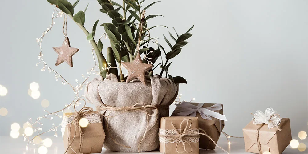 Gift Guide for the Plant People in Your Life