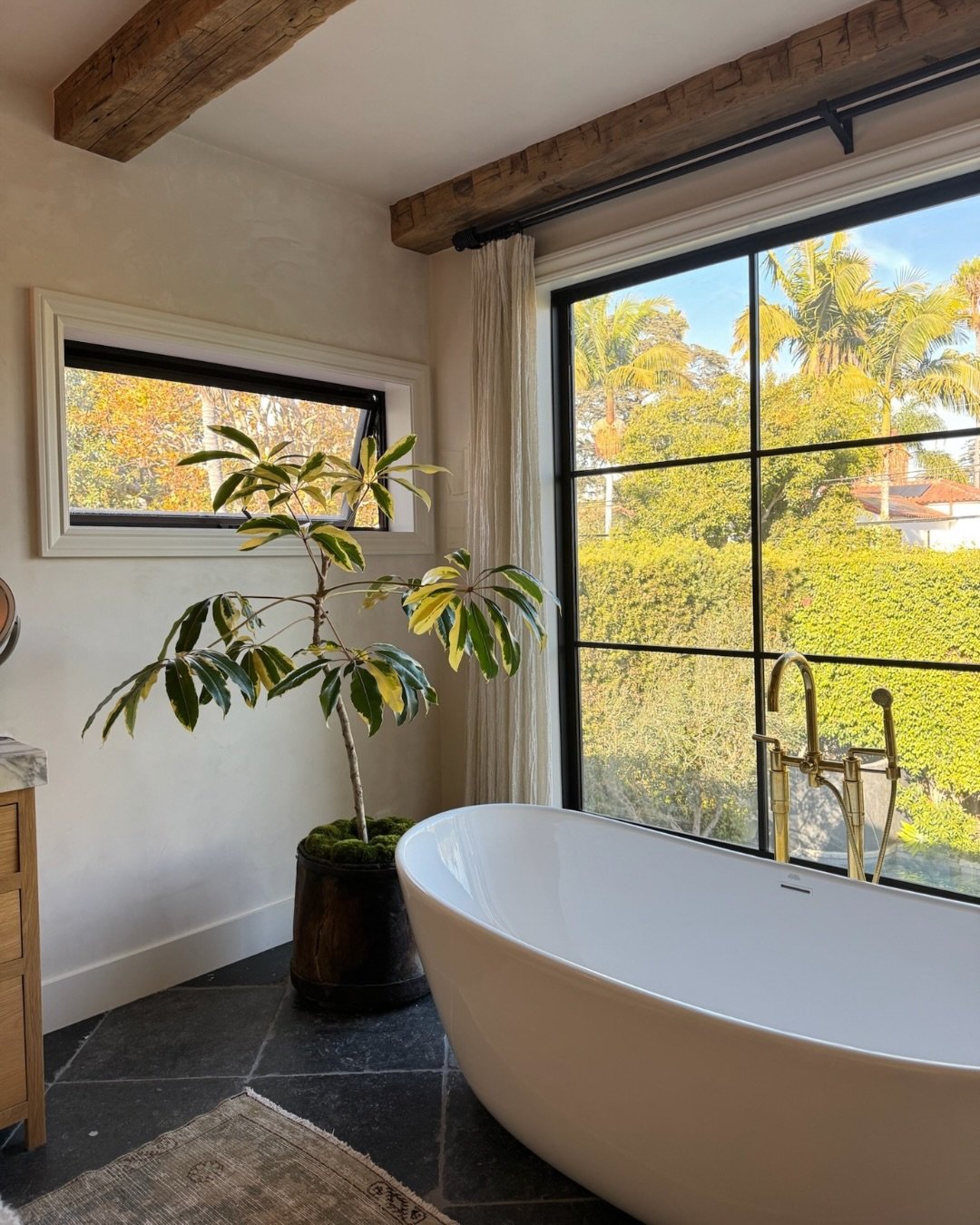 I found this plant tucked in the back of a nursery, scrappy, overlooked, but with the sweetest shape. I brought her home, took my time, and watched her come back to life. When the moment felt right, she found her new home.

Sounds familiar? It is to 